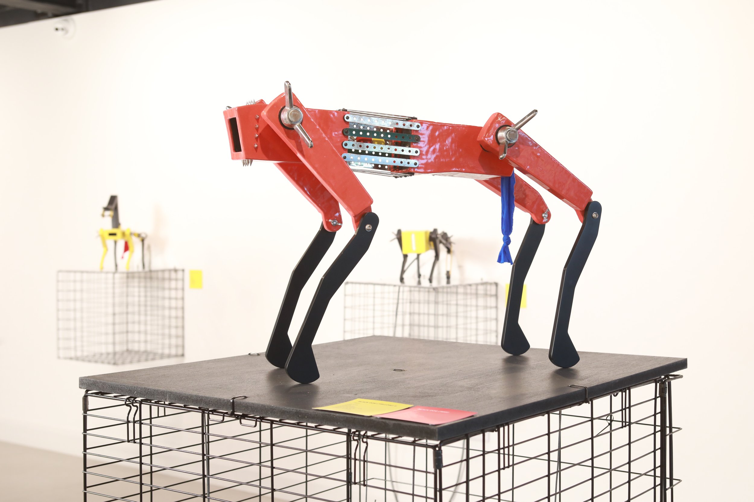 Pack — Patrick Colhoun Contemporary Artist