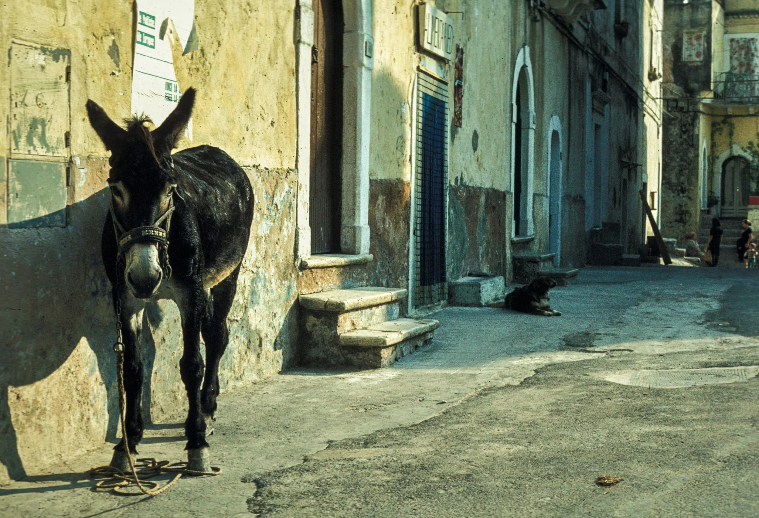 Gargano, Italy, 1979