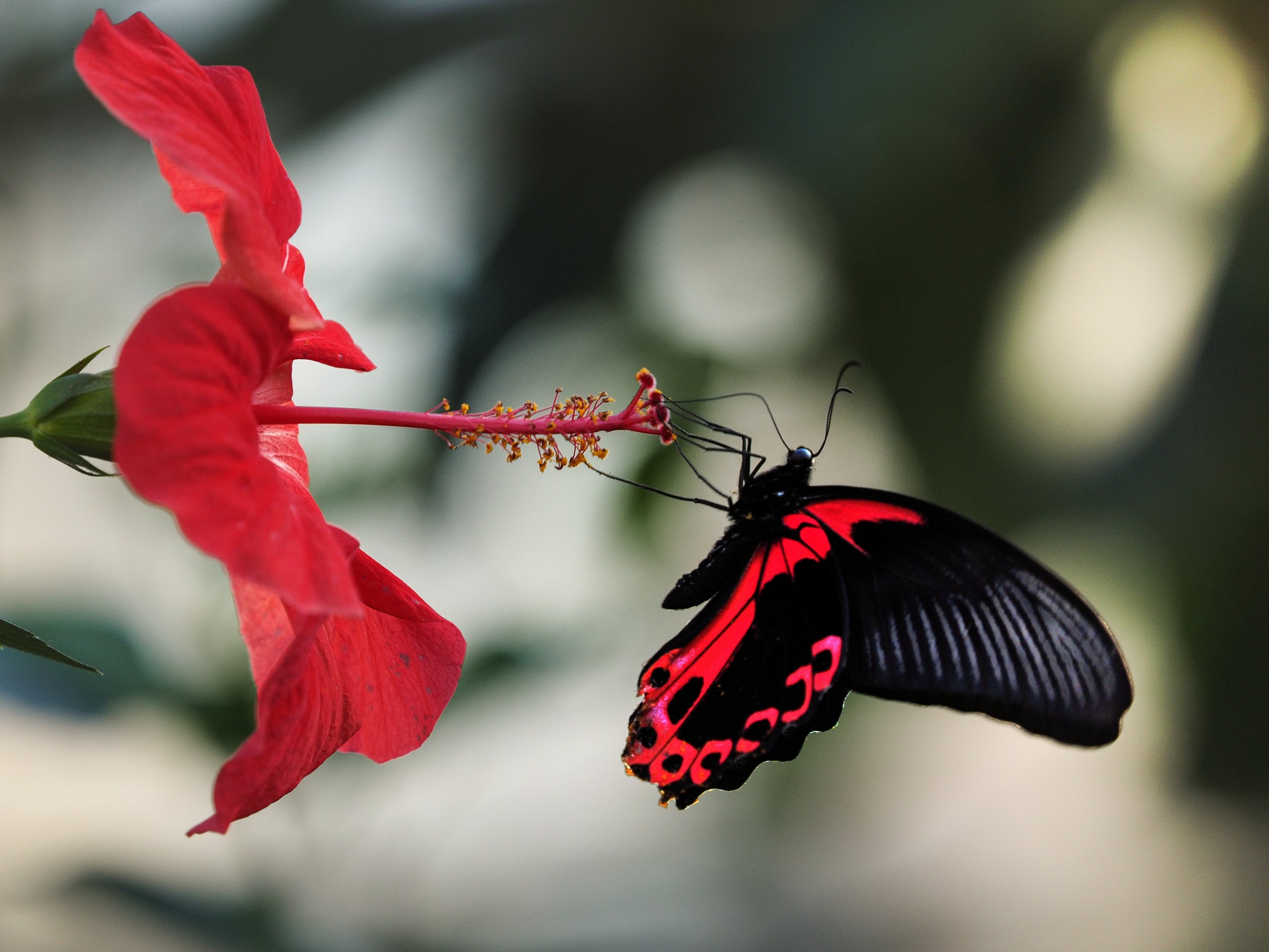 201602-Wilhelma-022-Bearbeitet_