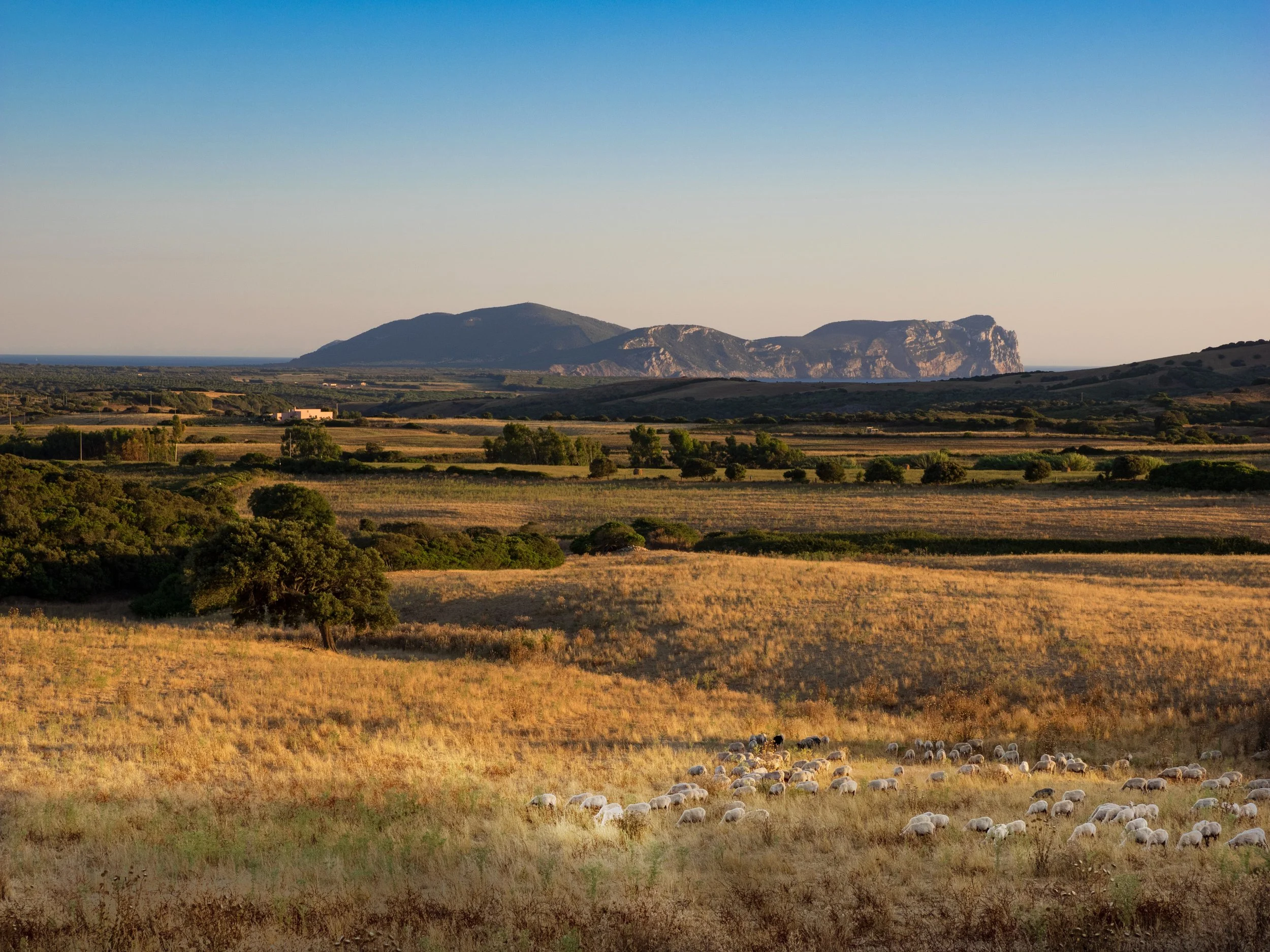 201706-Sardinien-614_