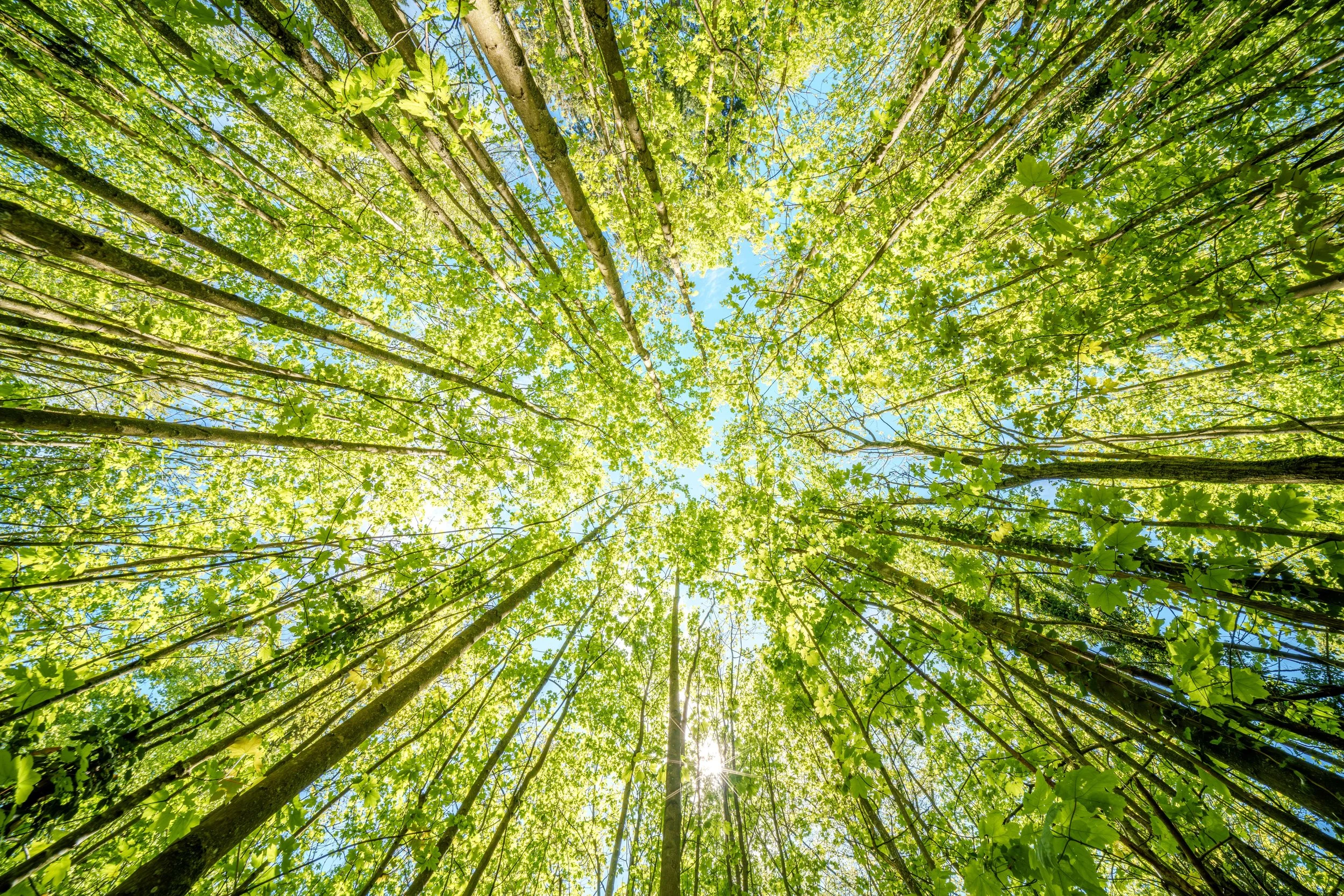 Returning to work after a career break - The first few weeks