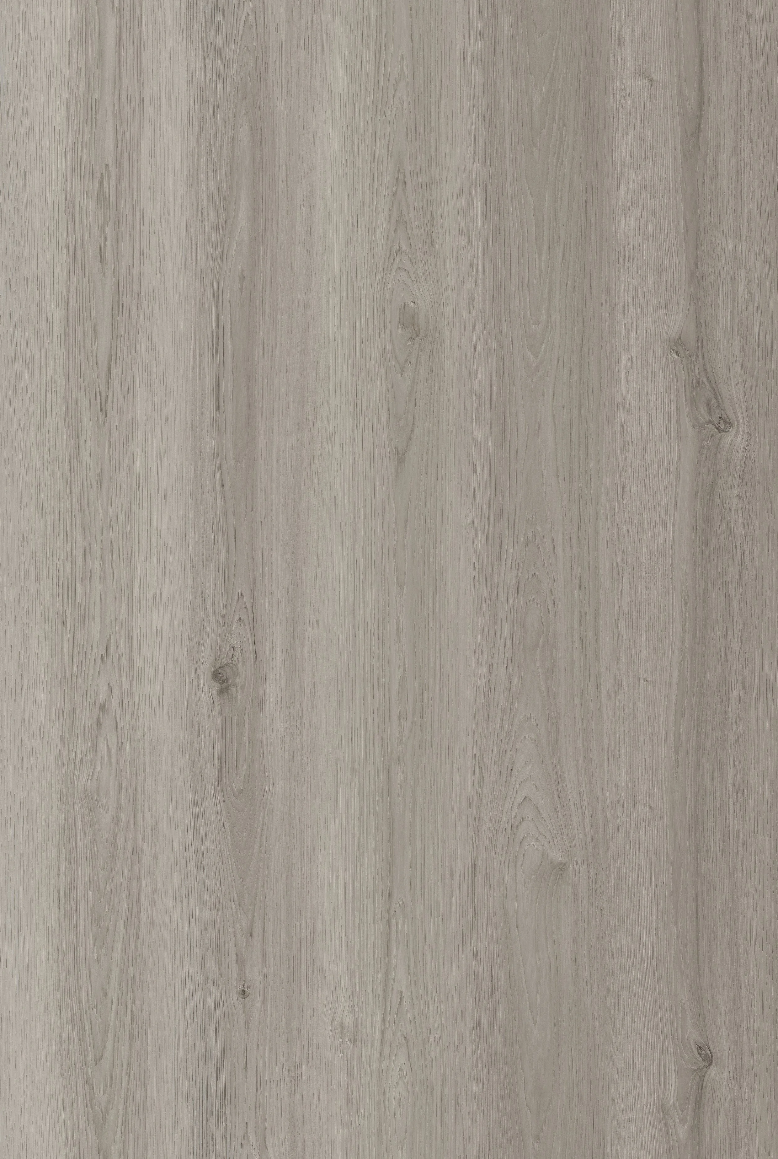 P0357-Soft Willow Full Layout.jpg