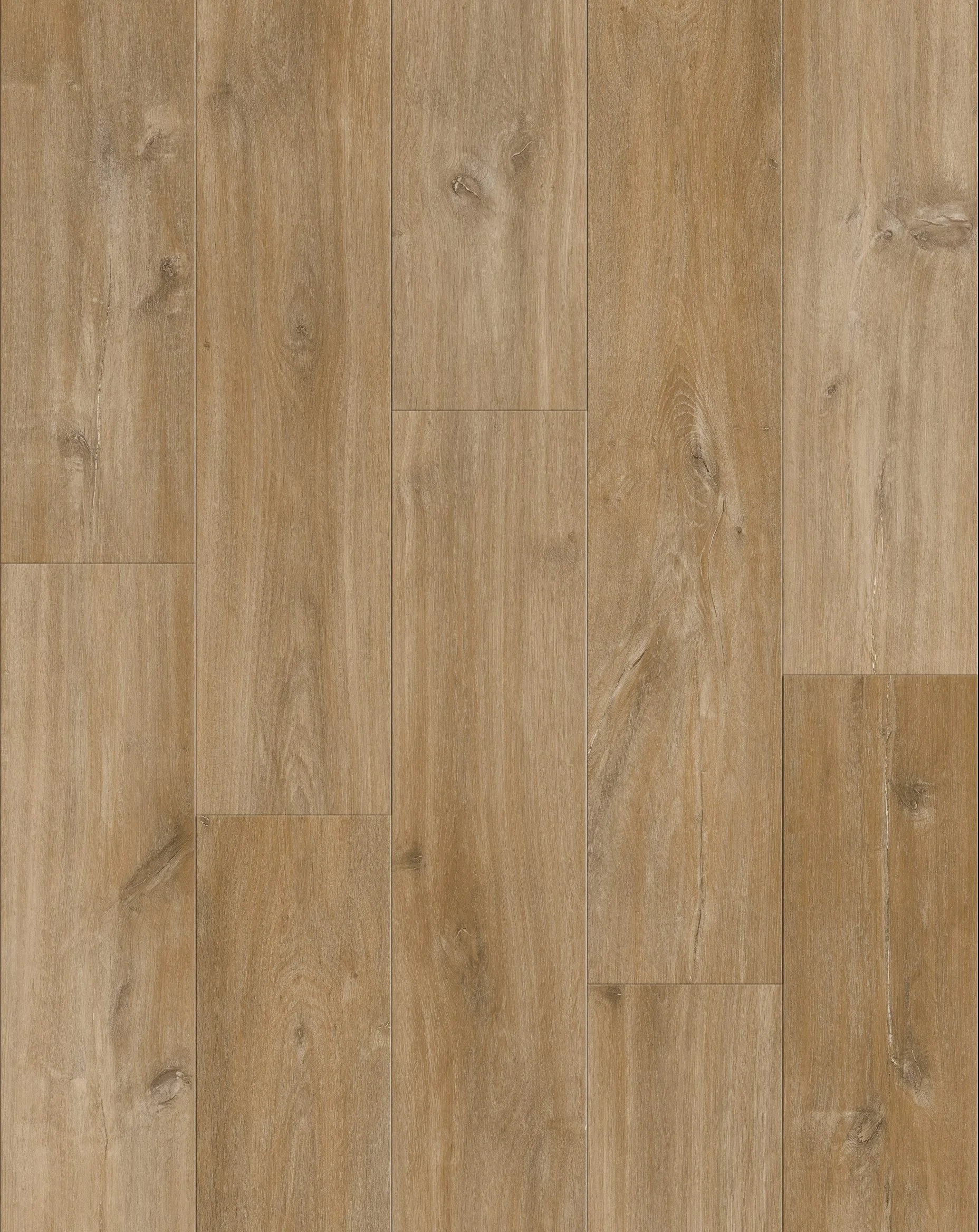 Canadian Red Oak.jpg