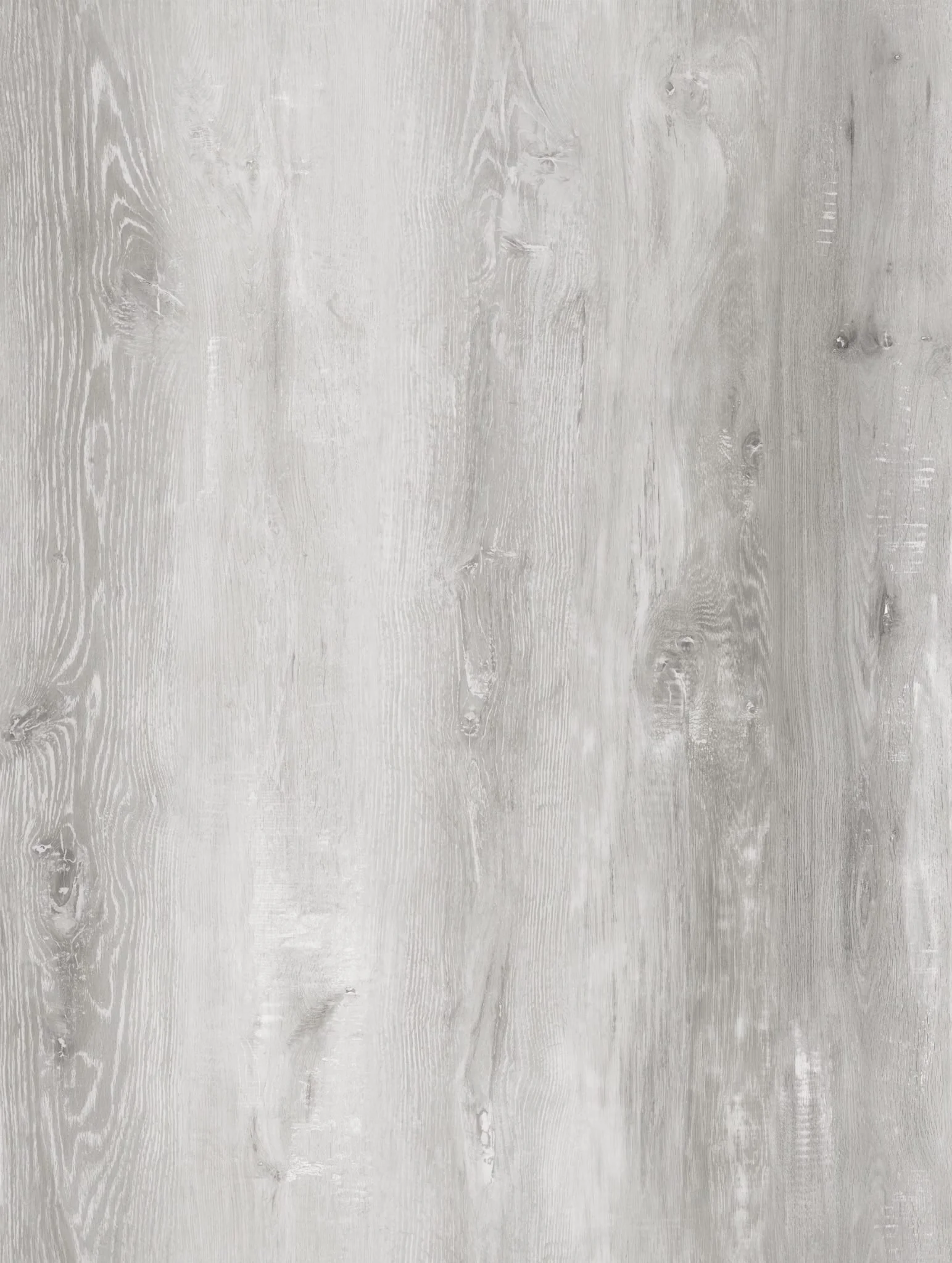 Norwegian White Oak 2.jpg