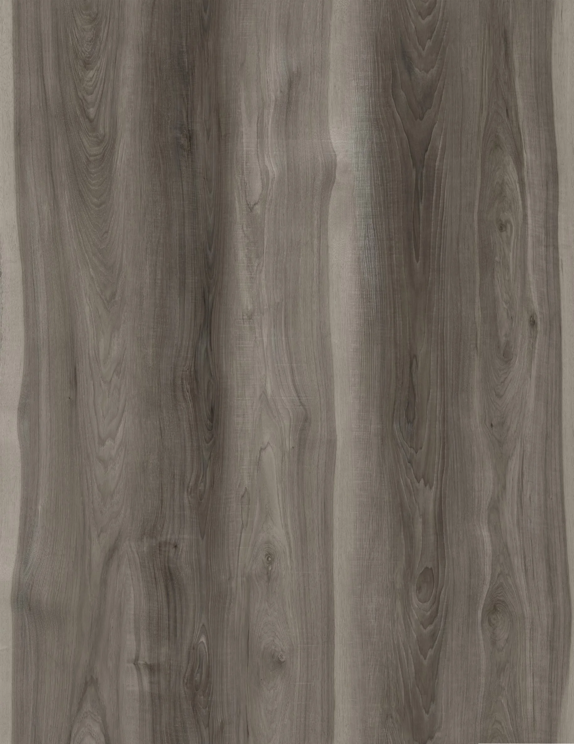 Lacquered Oak 2.jpg
