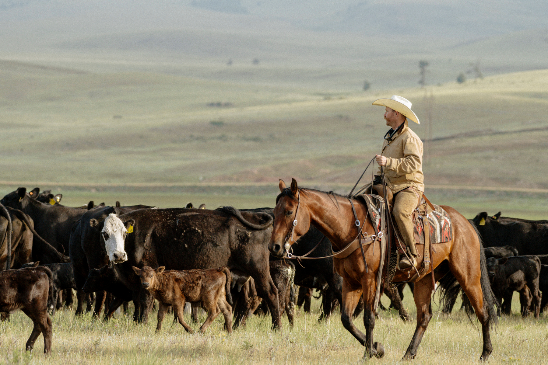 The Trap of “This is How We’ve Always Done It.” 