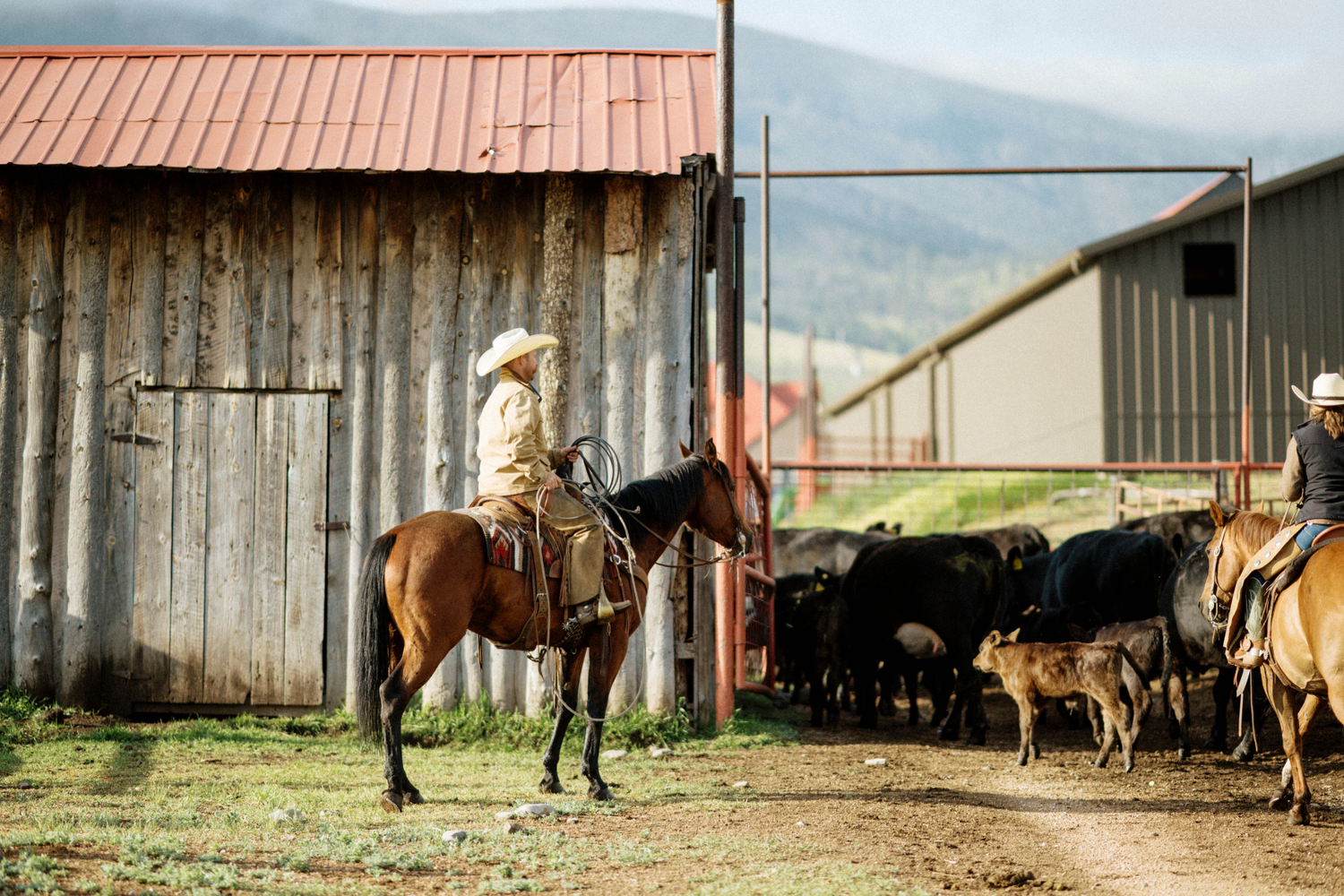 “The Big Three:” Management Models for Absentee Ranch Owners