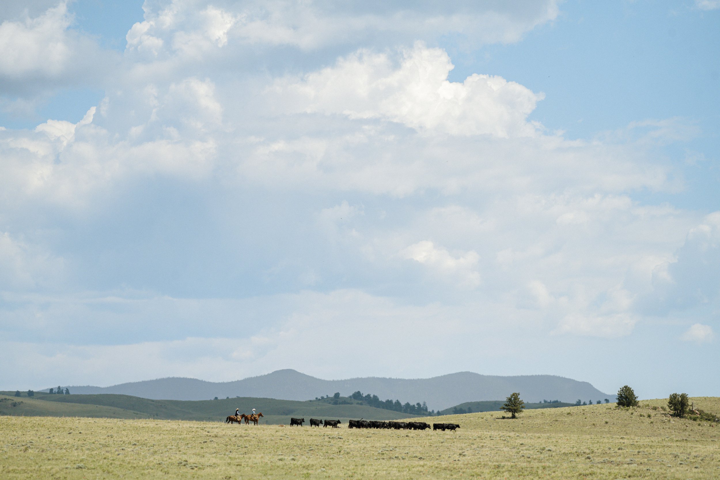 Why Absentee Ownership Requires Better Management, Not Less