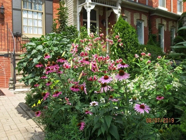 2026 Hidden Gardens & Private Spaces Single Ticket