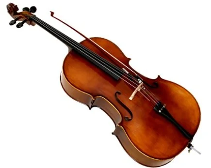 celloimage.png.jpeg