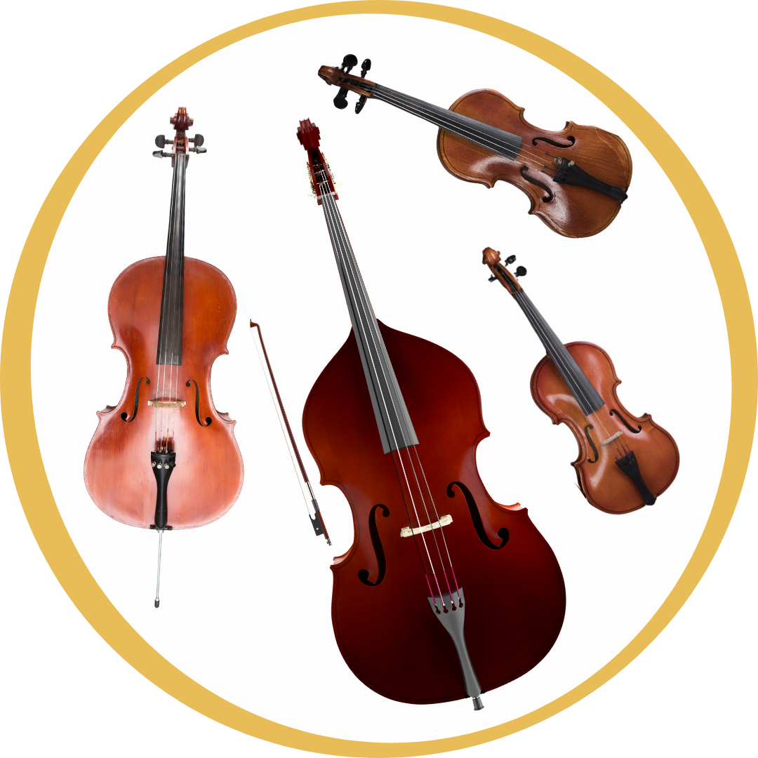The String Family