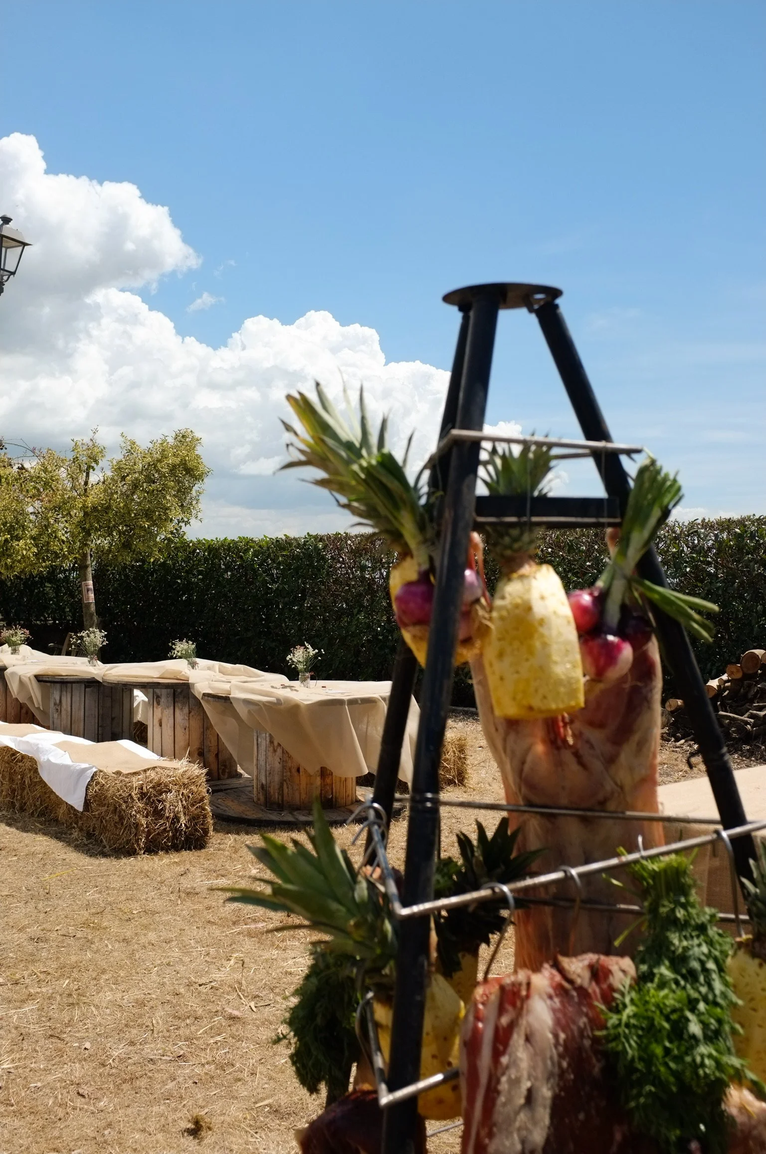 Cibo appeso su affumicatoio, con ananas, radici, agrumi, erbe aromatiche, in un'area all'aperto.