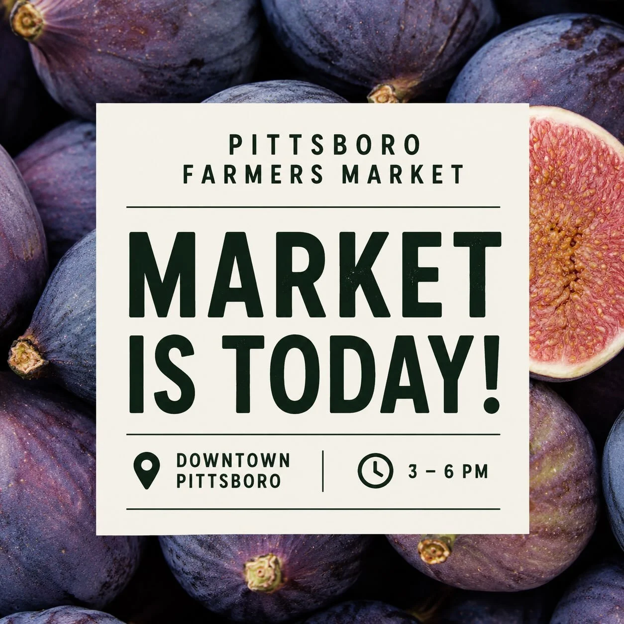 Come see what our vendors have for you this week, grab something good for the weekend, and stop by to visit the Chatham Community Library while you&rsquo;re here.

3&ndash;6 PM in Downtown Pittsboro. See you this afternoon!