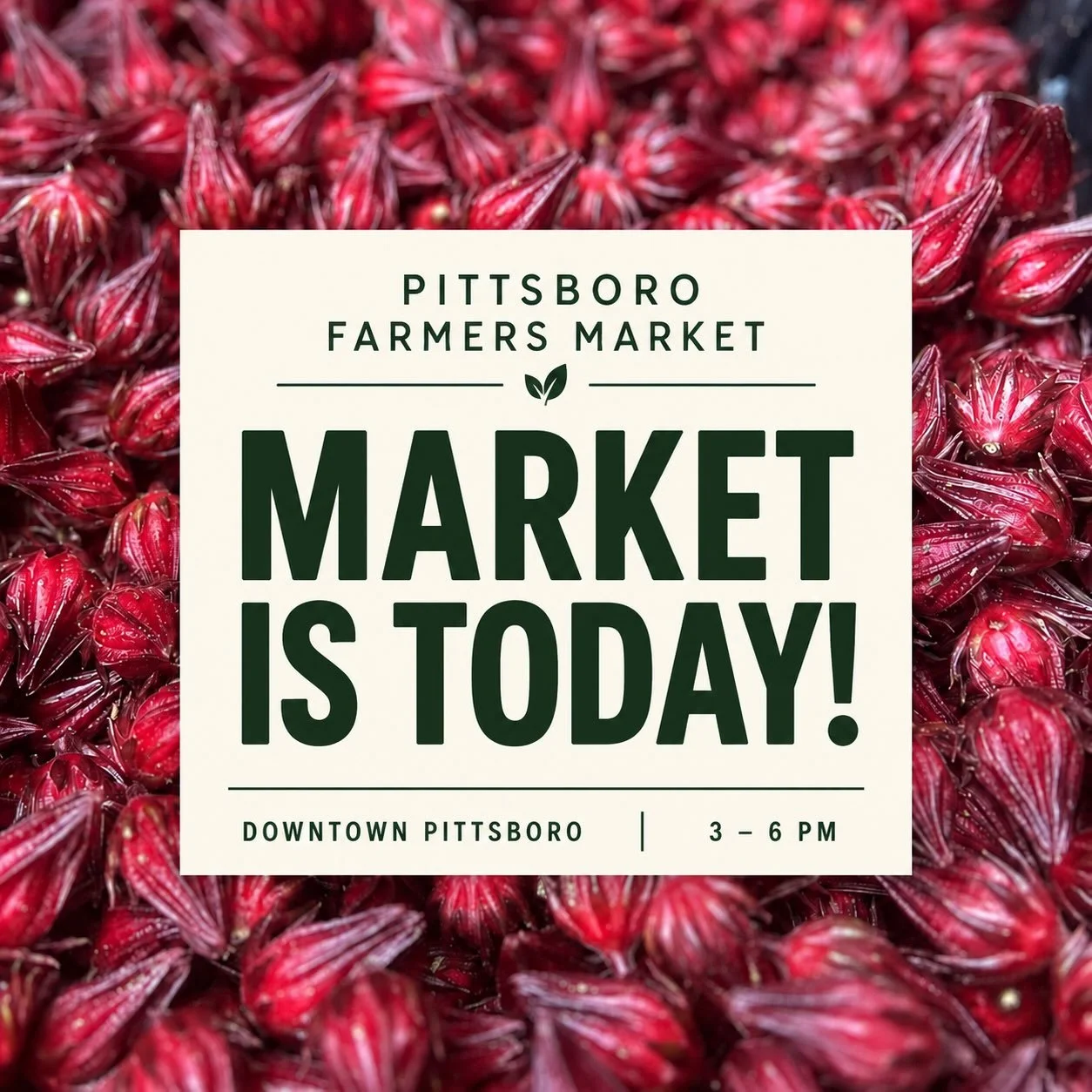 Market day! Come see what&rsquo;s here this week. 🌿 We&rsquo;re in Downtown Pittsboro 3&ndash;6 PM today!