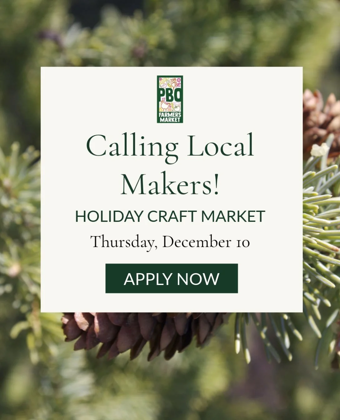 Calling all local makers!

Applications are officially open for our Holiday Craft Market on Thursday, December 10!

We&rsquo;re looking for local artists, crafters, and makers to join us for a special holiday market in downtown Pittsboro.

If you mak