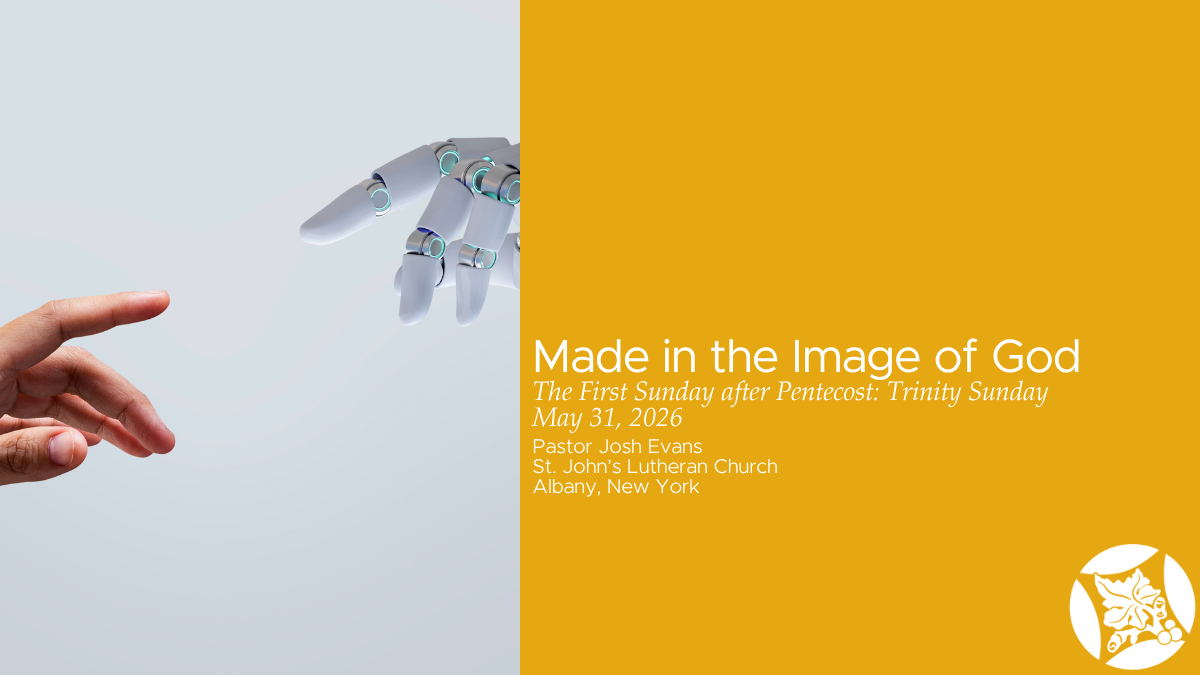 Made in the Image of God