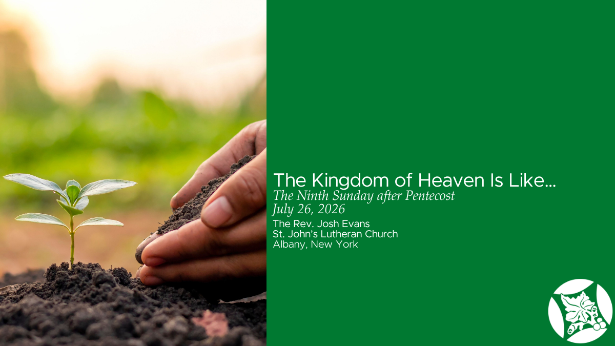 The Kingdom of Heaven Is Like…