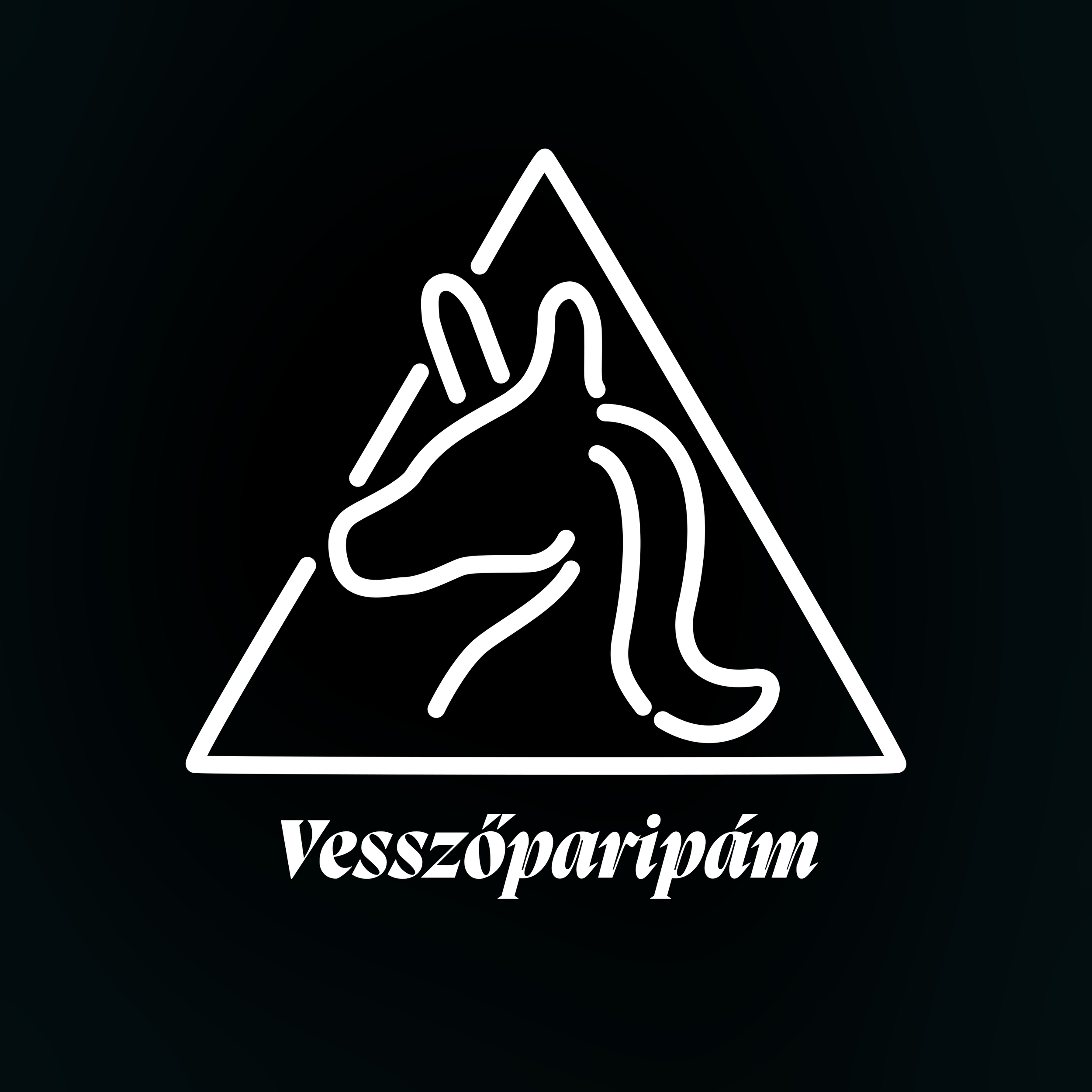 vesszoparipamLOGO_feketeHatterrel.png