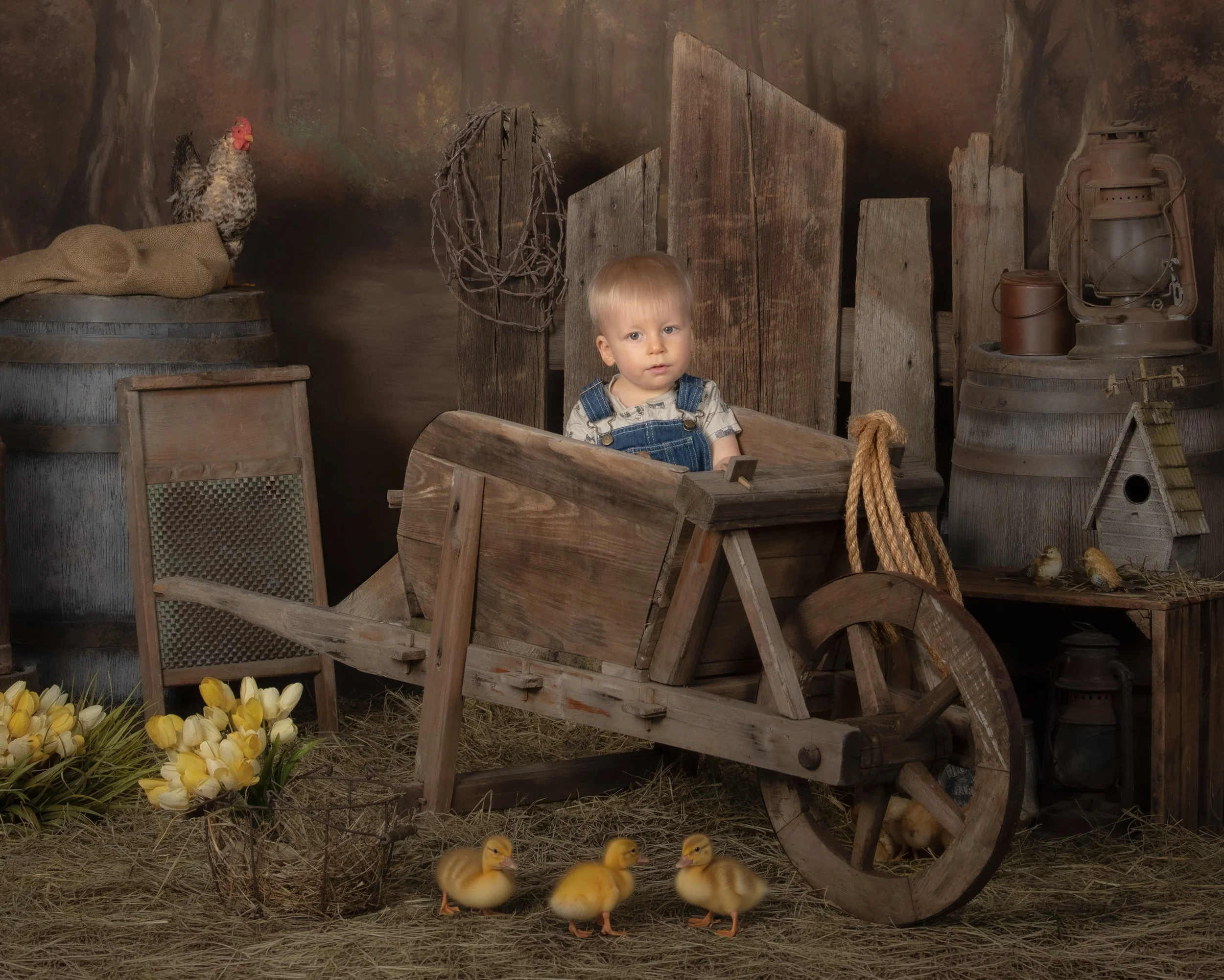 A young child sitting in a wooden wagon surrounded by farm-themed objects, including a hen, ducklings, flowers, lanterns, a birdhouse, and rustic wooden decorations.