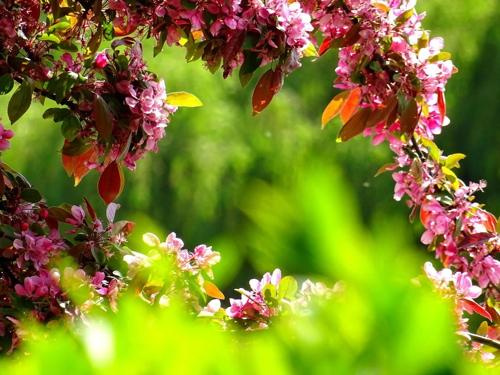Why Being Outdoors Is Essential for Your Health