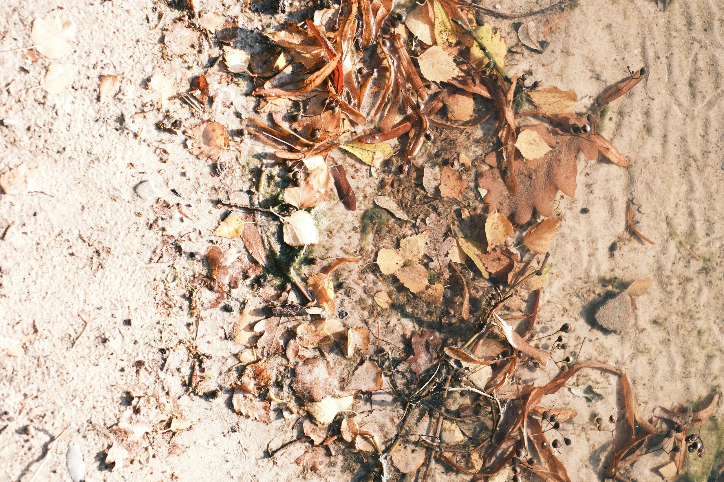 The Healing Power of Nature: Why Time Outdoors Restores Your Mind, Body, and Spirit