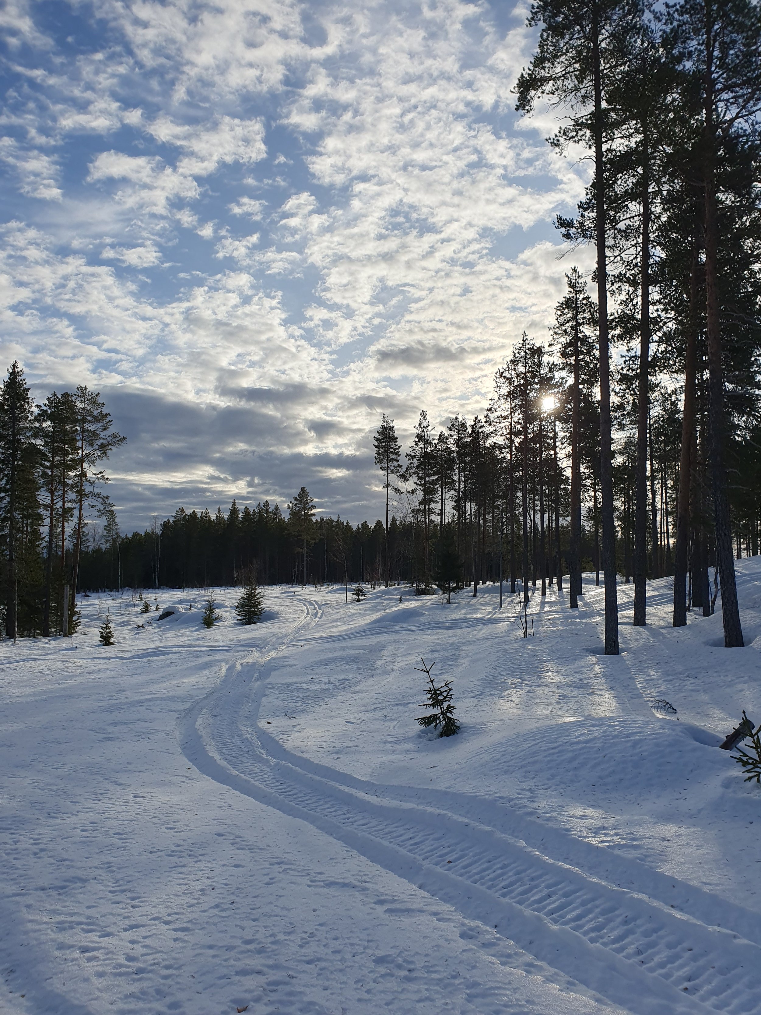 Experiential Leadership Programme