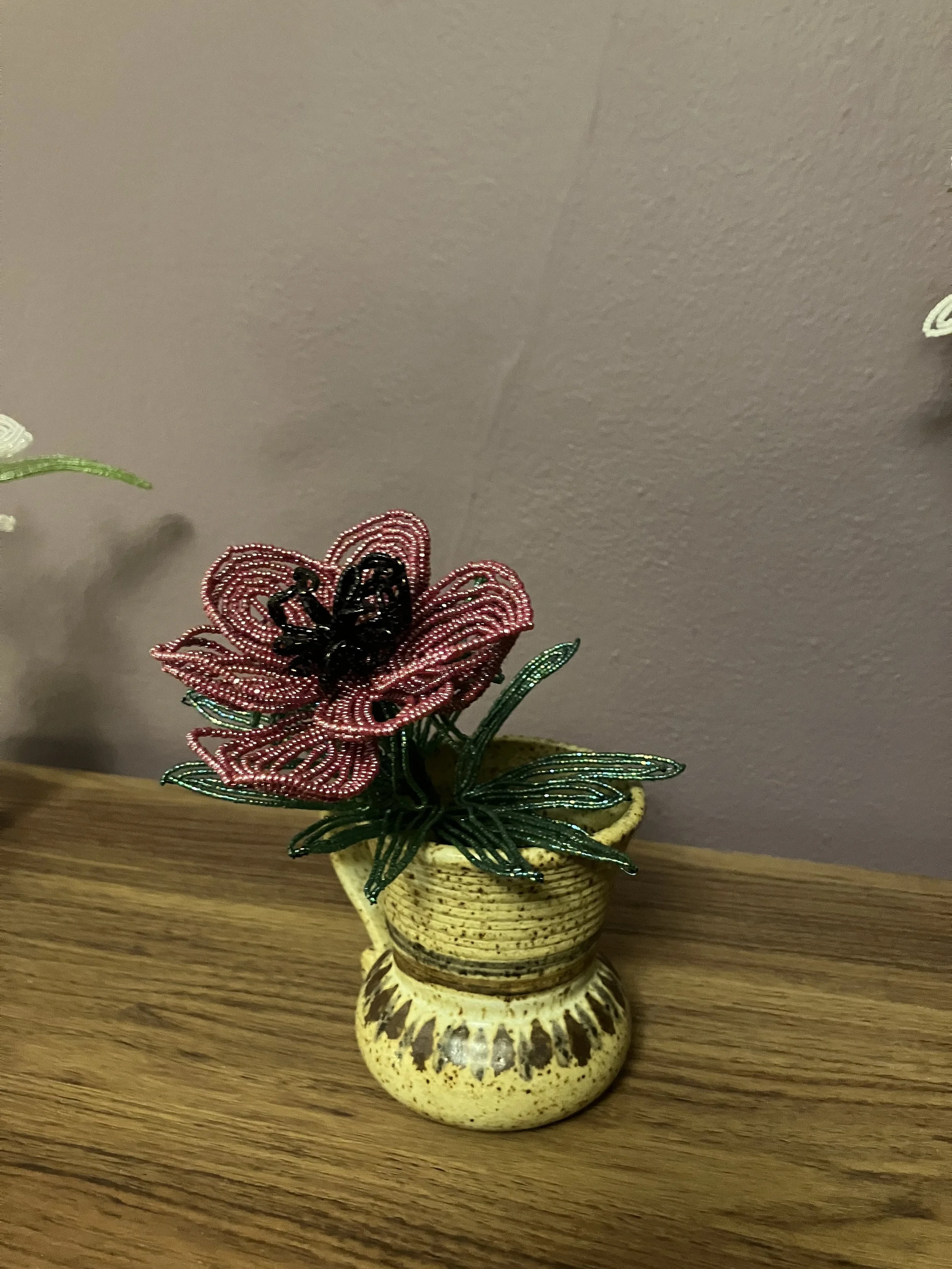 IMG_2911.jpeg