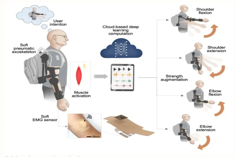 Intelligent exoskeletons controlled via wearable bioelectronics