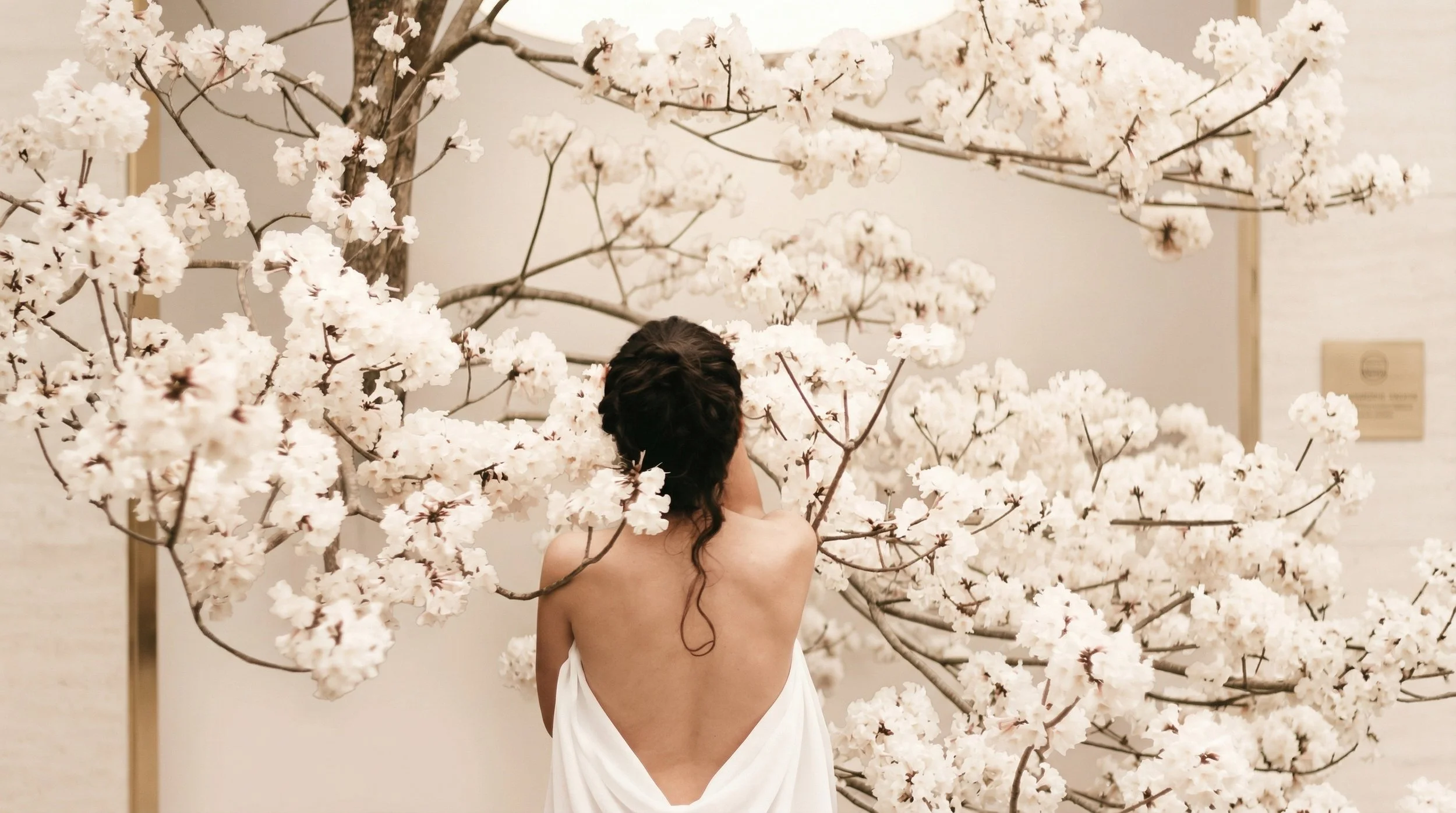 Femme nue vue de dos, entourée de branches de fleurs blanches dans un environnement intérieur.