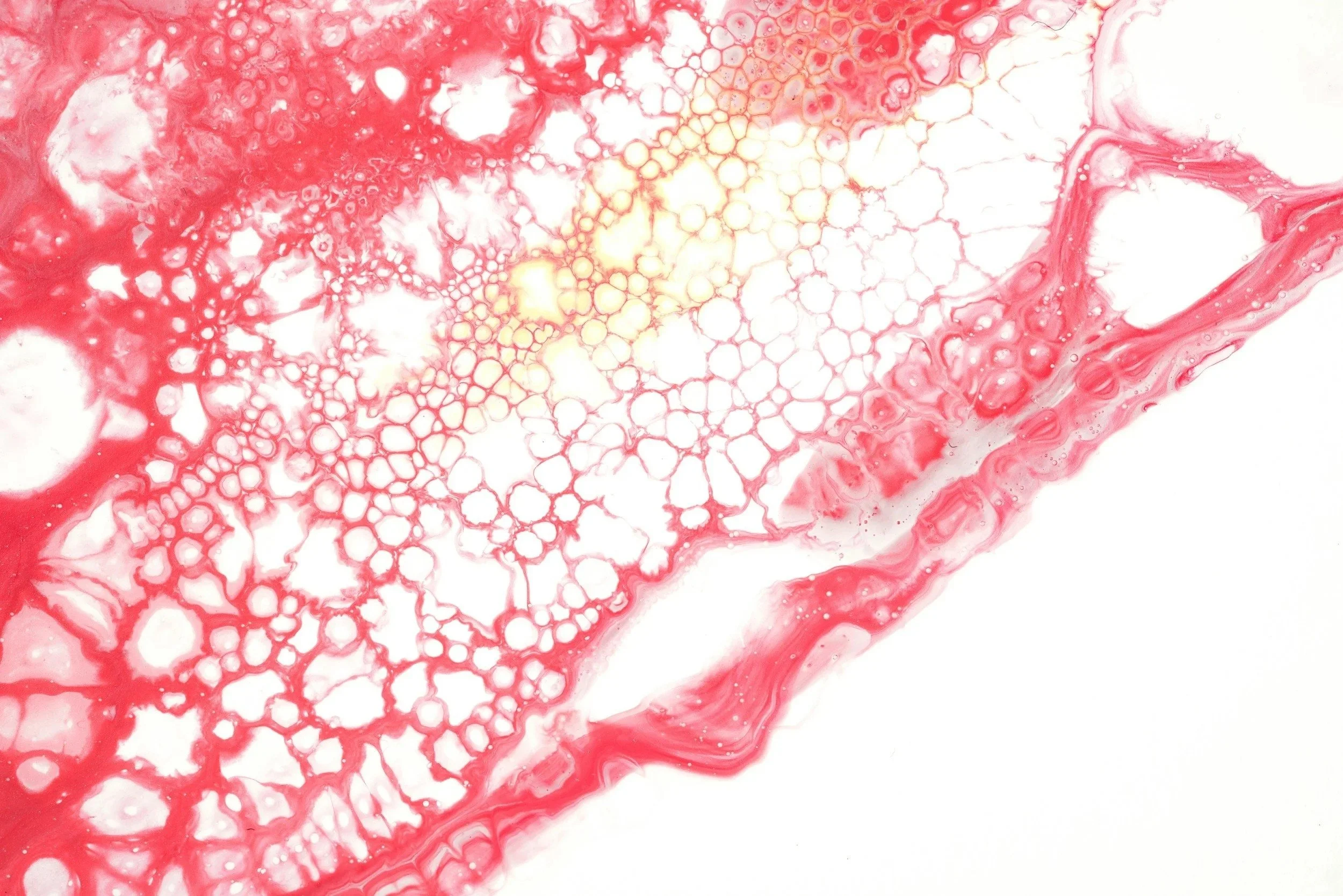 Mélange de peinture rouge et blanche formant des bulles et des motifs abstraits sur fond blanc.