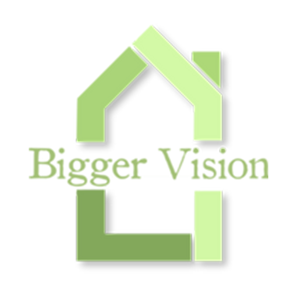 Green logo with a stylized house outline and the words "Bigger Vision" beneath it, indicating a focus on real estate or home-related services.