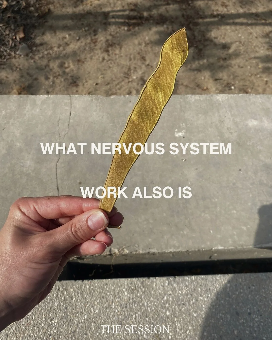 Nervous system work is a holistic process. 
-
#psychologistsofinstagram #nervoussystemwork