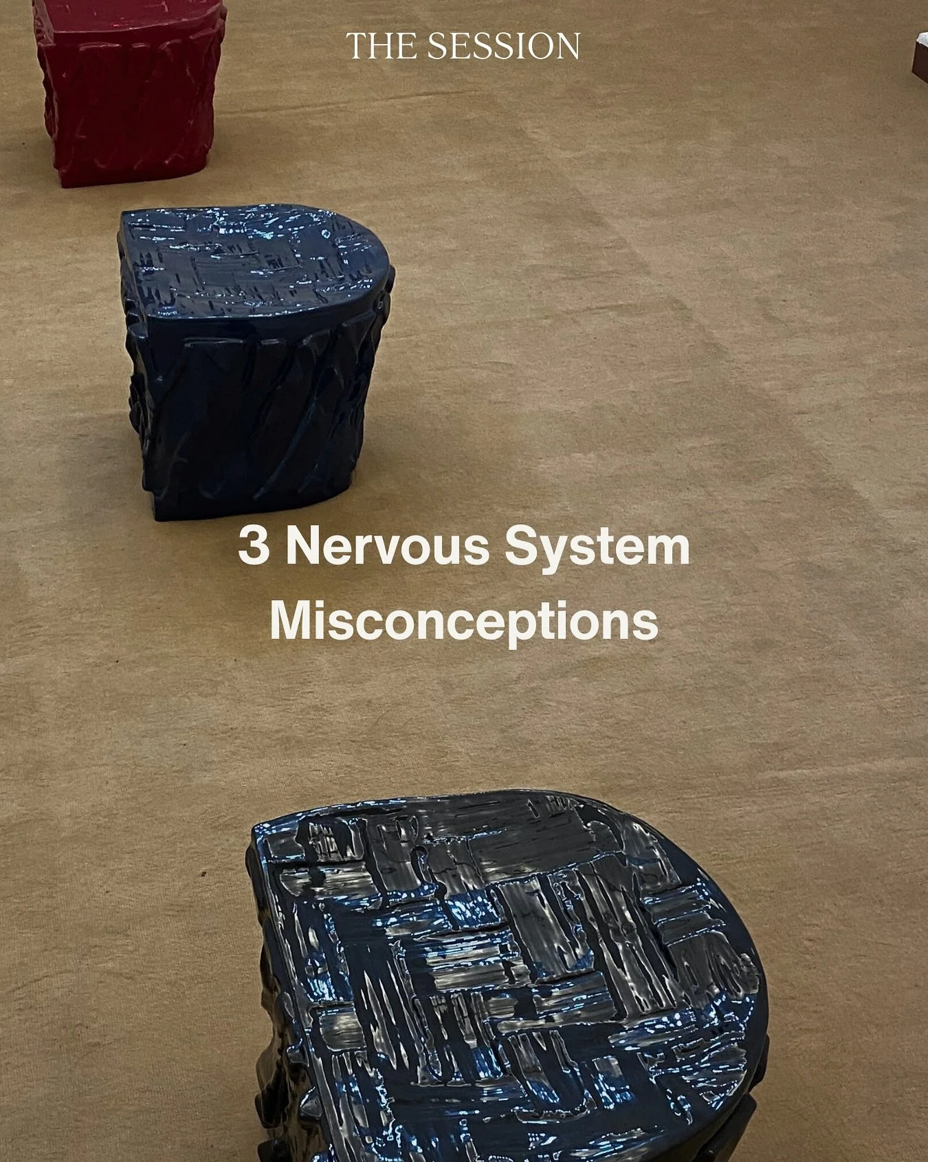 A few reminders about the nervous system 🤎 
-
#nervoussystem #somaticwork #healingjourney #psychologistsofinstagram