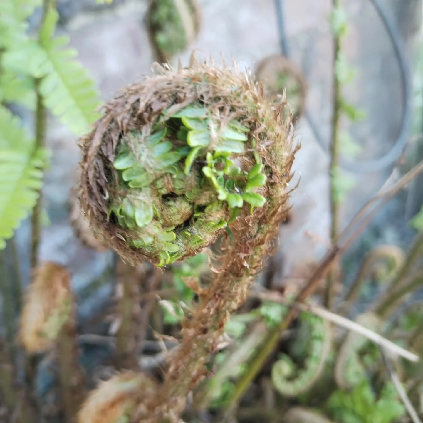 Farm photo for each day of May:
Enjoying spring on the farm! 🌱