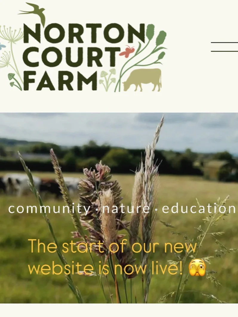 The beginnings of our website is now live.. hoping to add more pages once the craziness of Christmas has passed!  Can&rsquo;t wait to tell you more about the farm and the journey we are on.
#newbeginnings #highwelfarefarming #happycows
