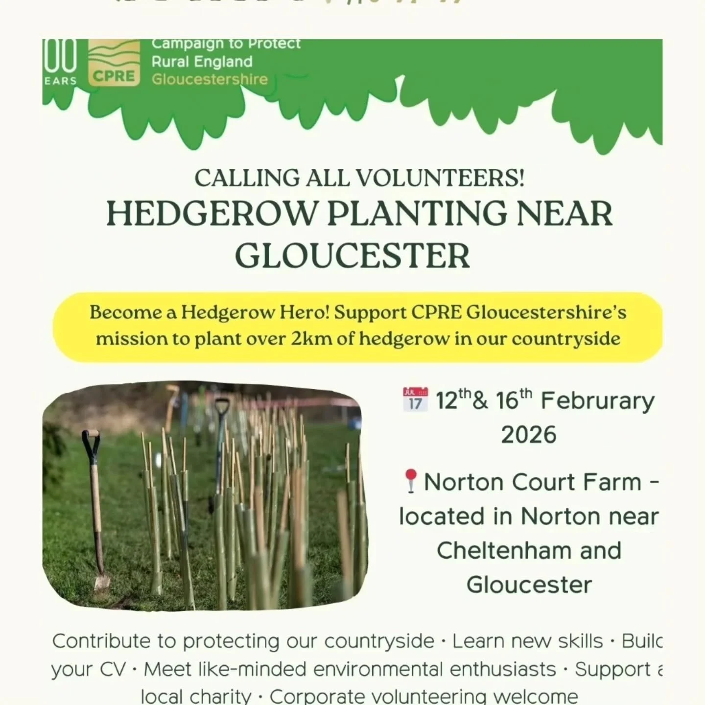 https://www.nortoncourtfarm.co.uk/volunteer
We love a good hedge on farm and so do the cows and wildlife. The good people at CPRE are going to help us plant some more on farm and are looking for volunteers to help. If you would like to get involved f