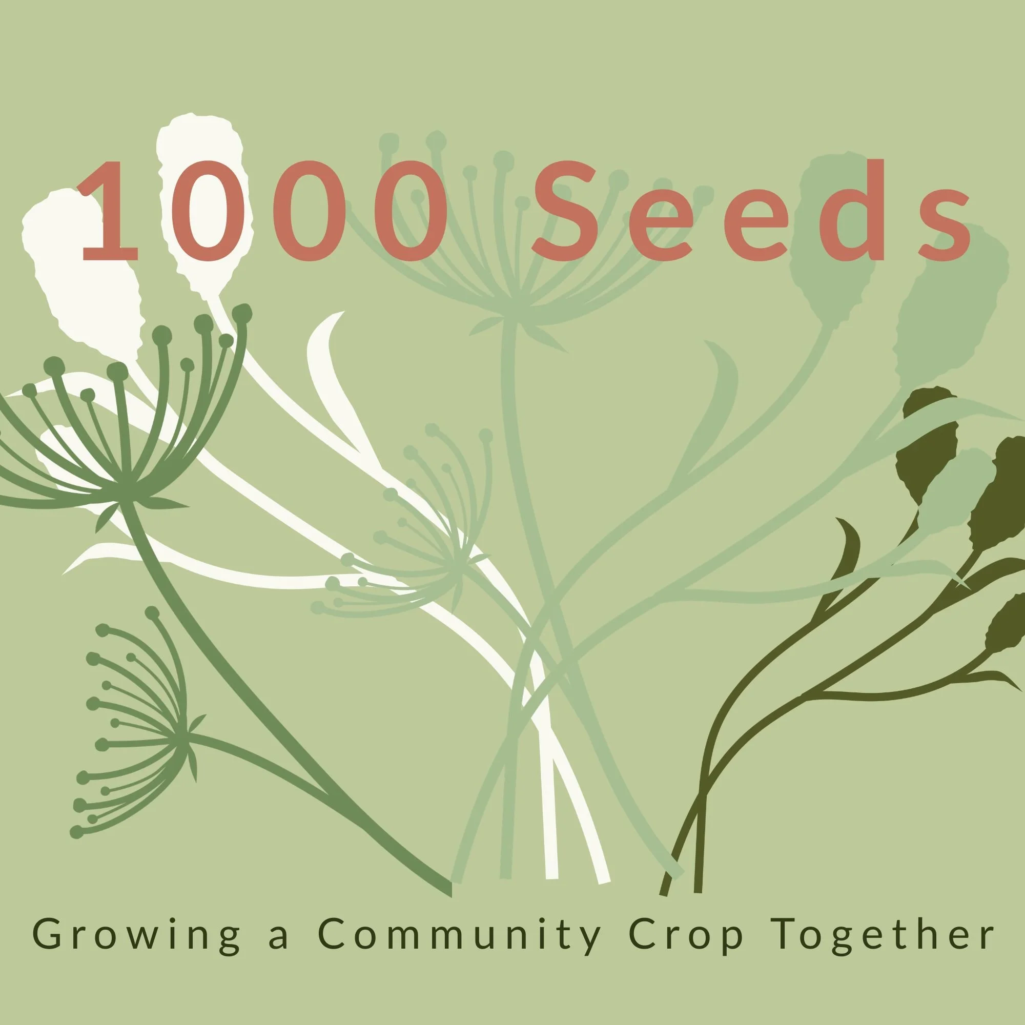 The 1000 Seeds Project
