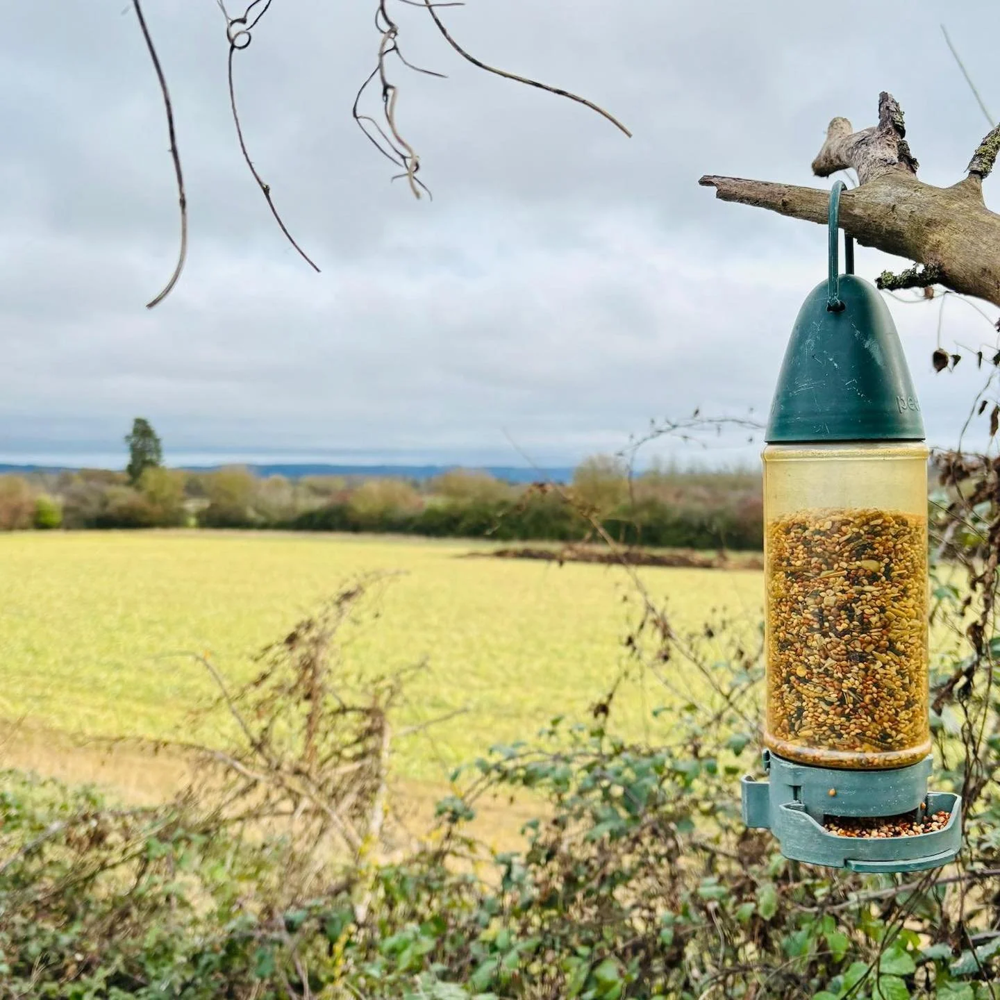 It&rsquo;s going to be a lovely day tomorrow (Saturday 24)  and we will be at the field from 2-4pm.  If you would like to join us for a look, or to help out, drop us a message.  We&rsquo;d love to see you! ☀️🪏☕️ #communitygardenproject #communitygar