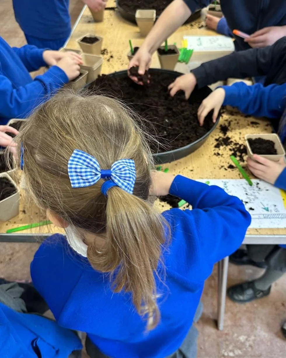 The 1000 Seeds project kicked off at Norton School this week 🥳 The children really enjoyed getting stuck in with their  hands!  The seeds are being left in school to germinate &amp; once they start growing we will move them to the farm to bring on b
