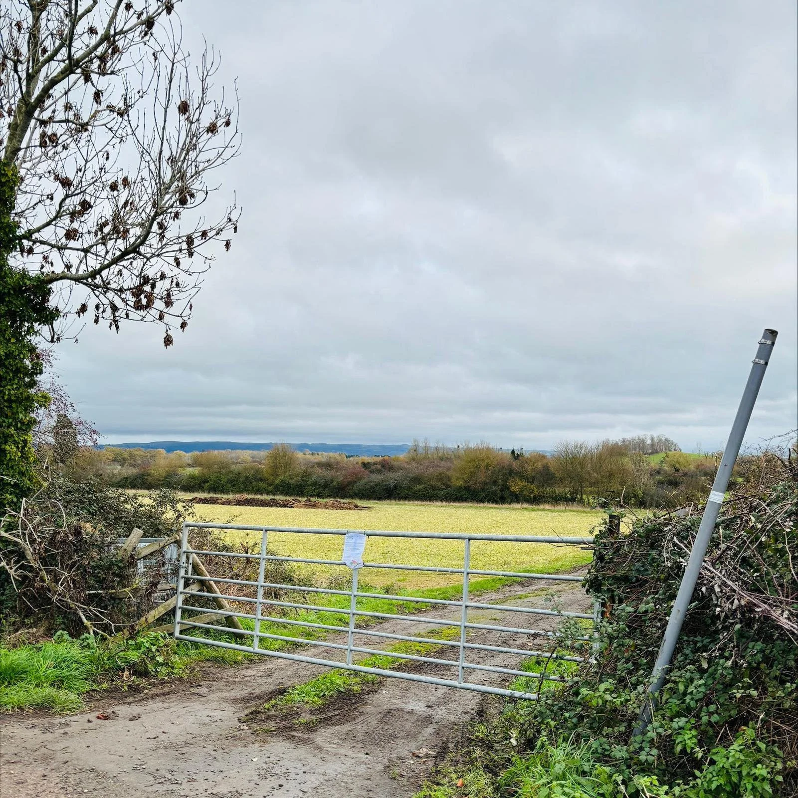 And so it begins 🥳 This Saturday we start to build our community by planting trees 🌳🌳🌳 If you would like to get involved and help, please get in touch either on messenger or by emailing office@nortoncourtfarm.co.uk for more information.