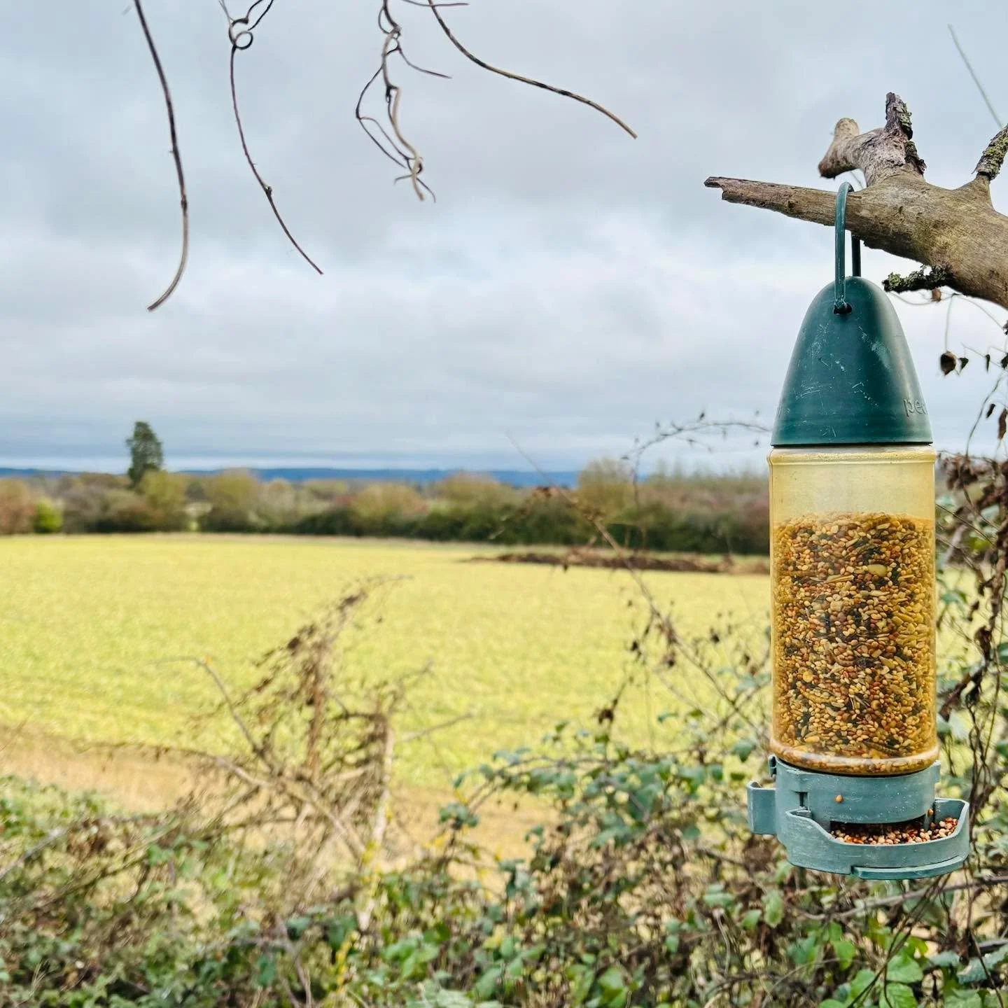 Welcome to Norton Growning Space CIC, a Community Garden set up and run by volunteers. The RHS &lsquo;Space to Grow&rsquo; report (Oct 25) highlighted the power of a Community Garden bringing people together, lifting spirits and improving health.  No