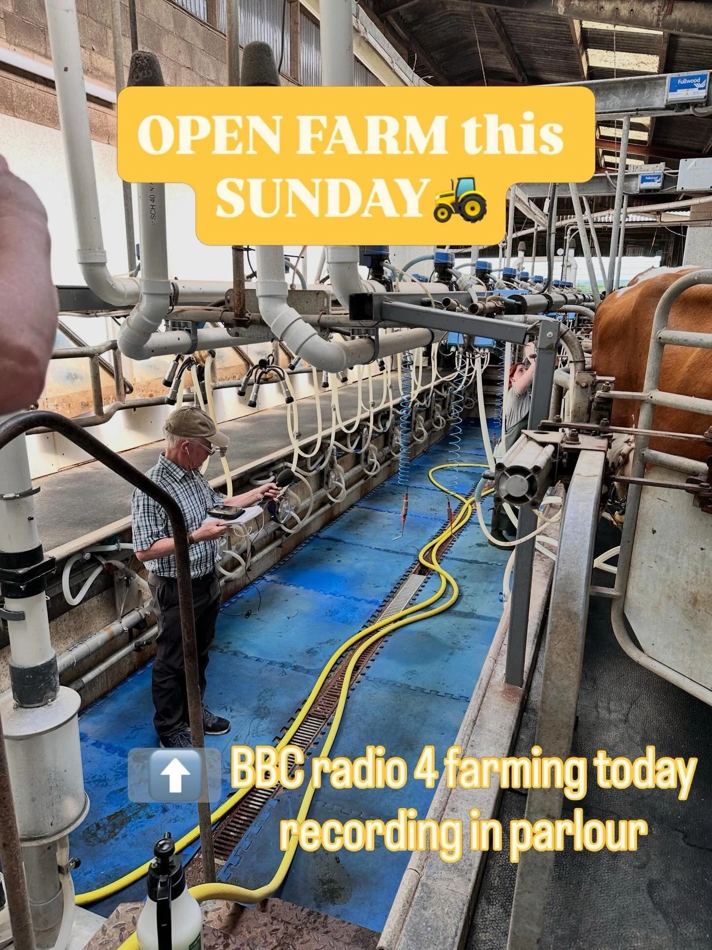 We were featured on BBC R4 Farming Today this morning.. we talked about the dawn chorus walk and watching the morning milking that will be happening on the farm this Sunday as part of Open Farm Sunday. If you fancy experiencing the morning routine an
