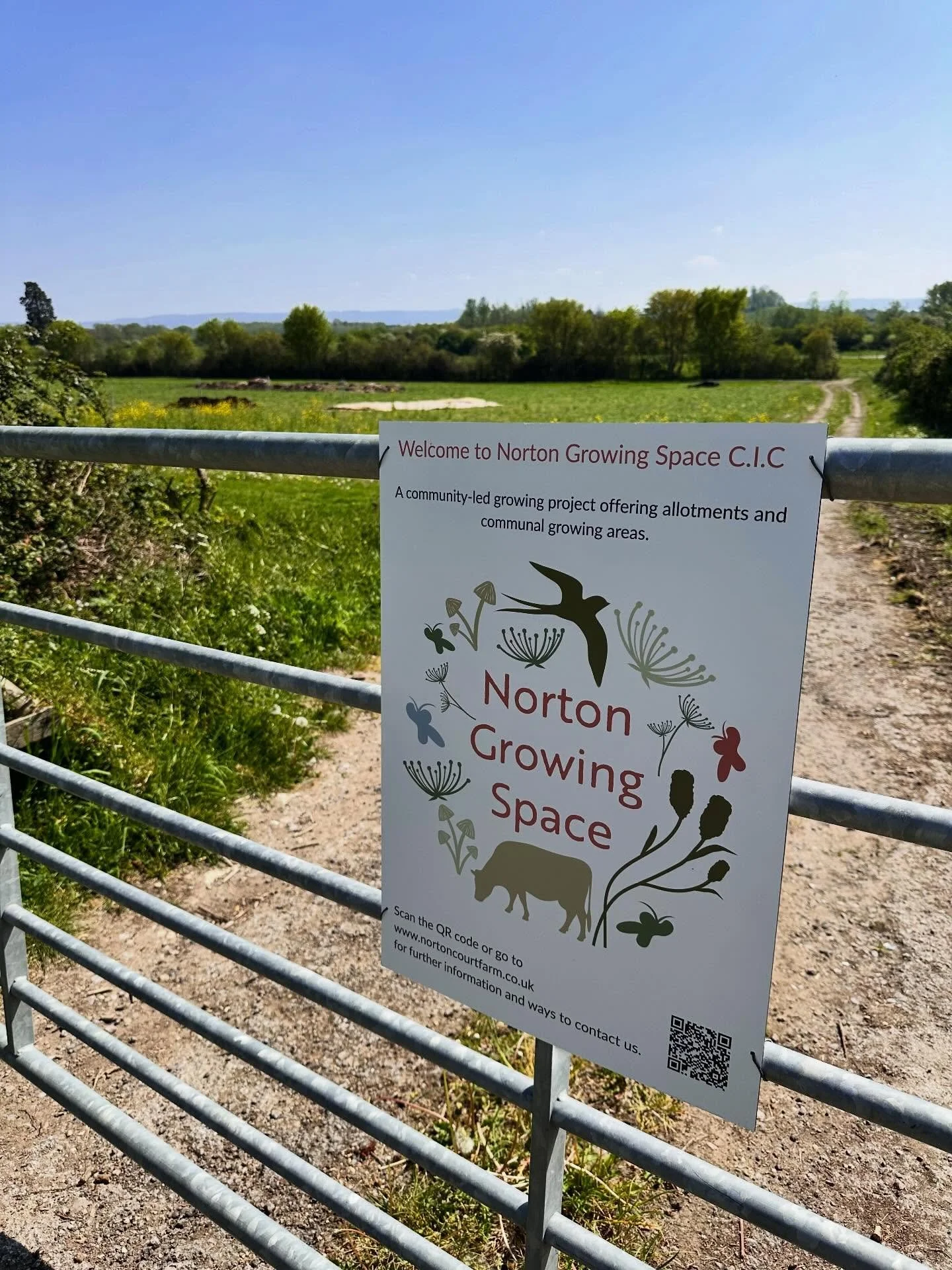 We have started a community growing space on the farm.. do follow @norton_growing_space and watch the progress of the field.  We have just prepared the growing beds for our first community crop. The seeds of squash, sweetcorn, sunflowers and french c