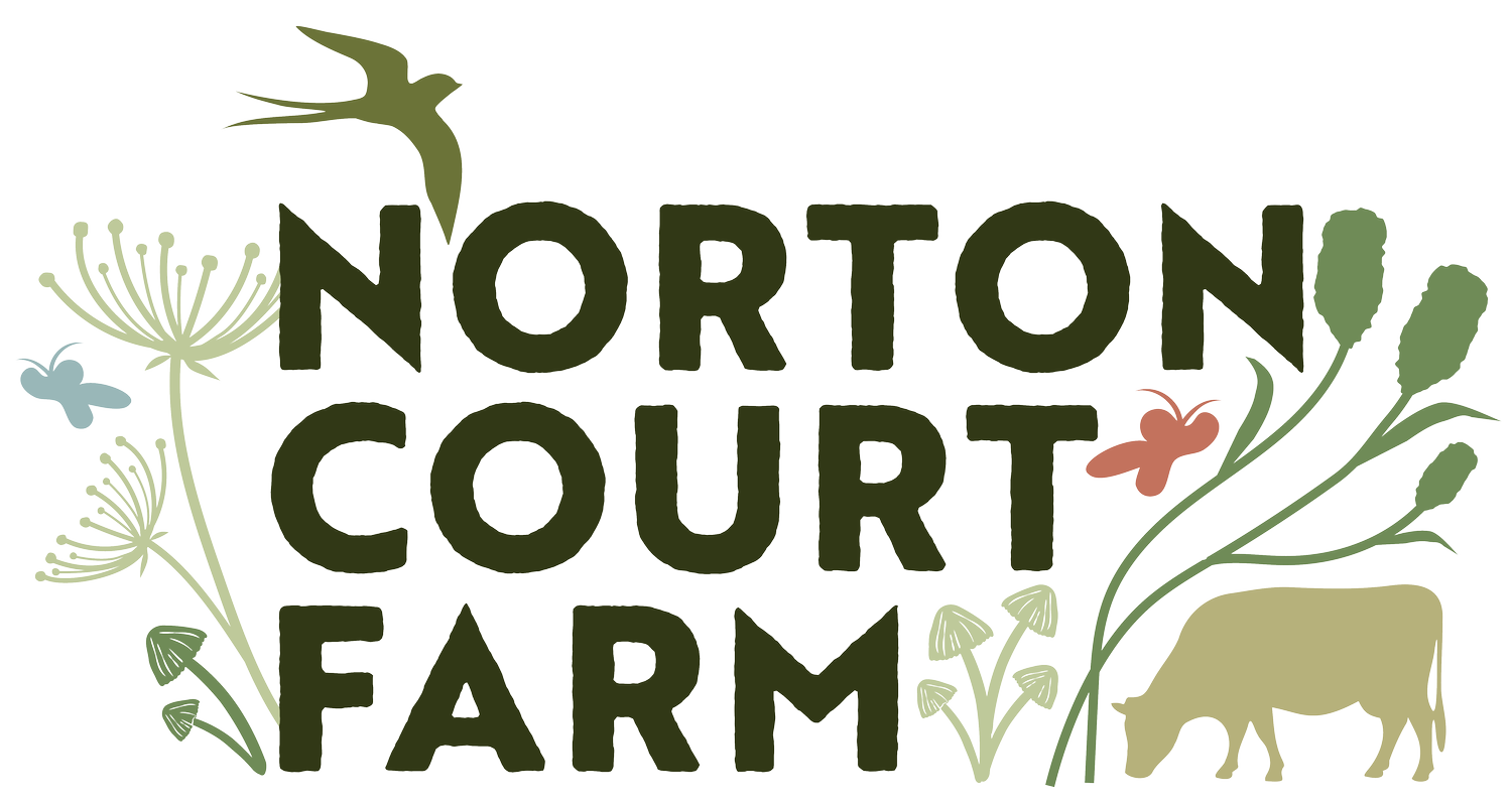 Norton Court Farm