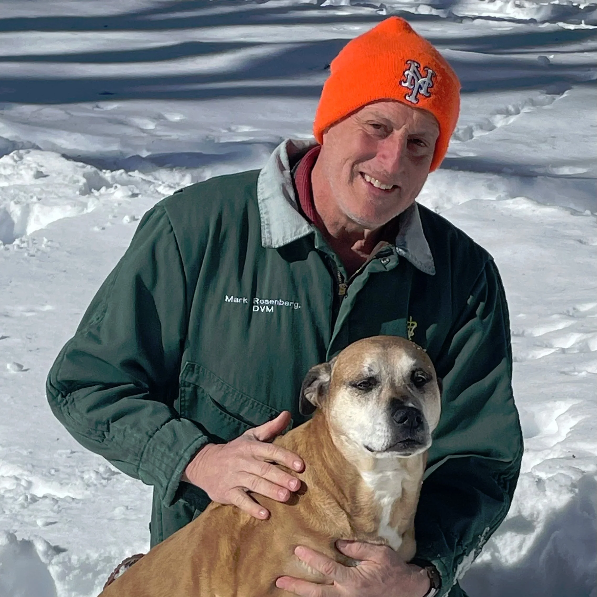 Mark Rosenberg - Quilled