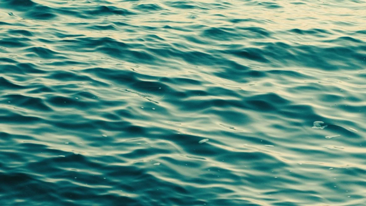 1B073B73-4EEE-46F7-8066-6C887DE8408E_1_105_c.jpeg