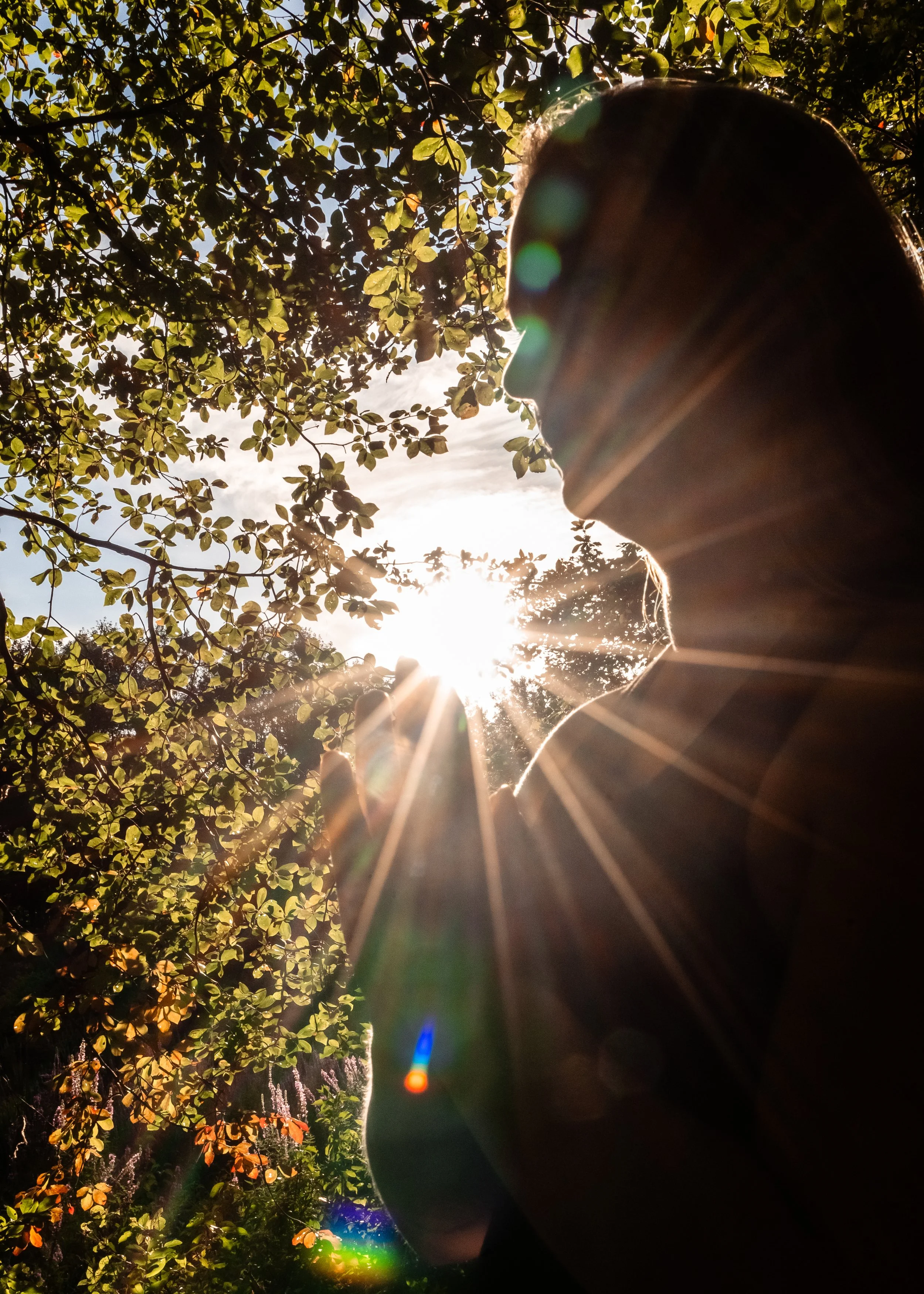 A person in profile facing a tree with sunlight shining through the leaves, creating a lens flare and light streaks.