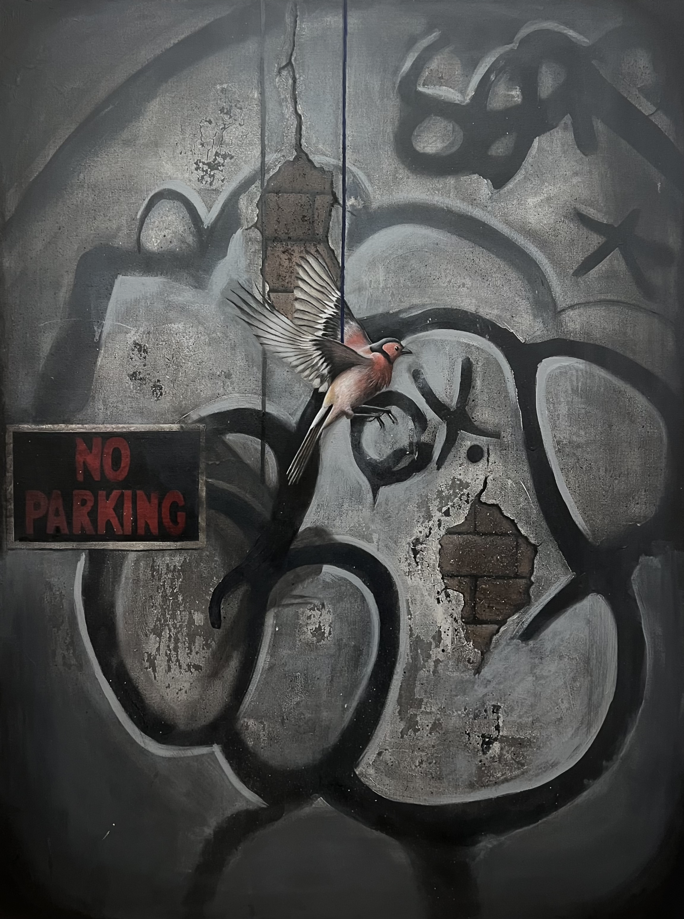 No Parking 25'