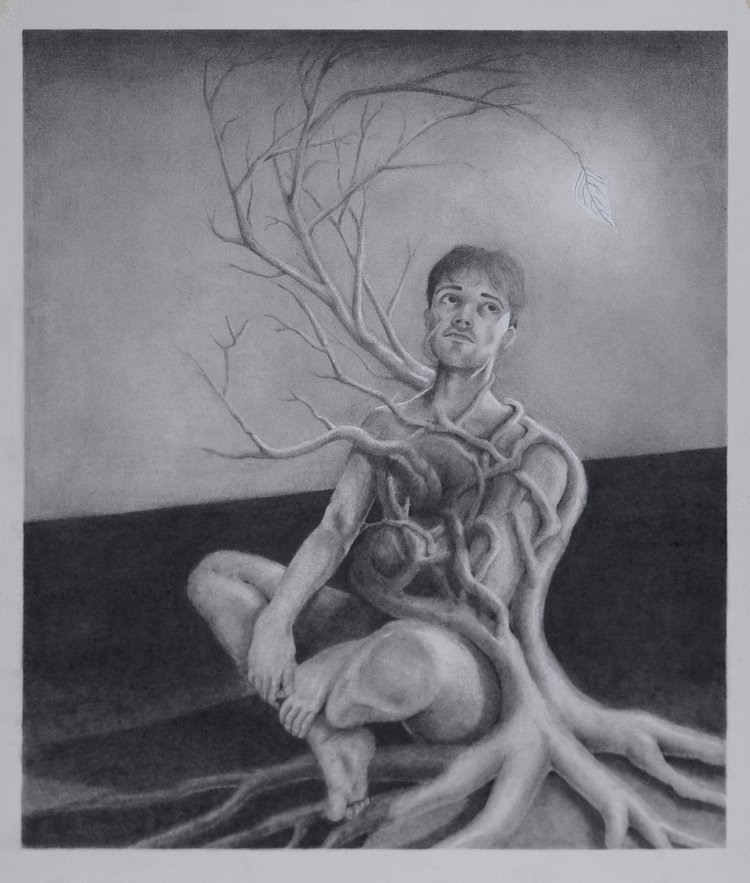 Rooted 24'