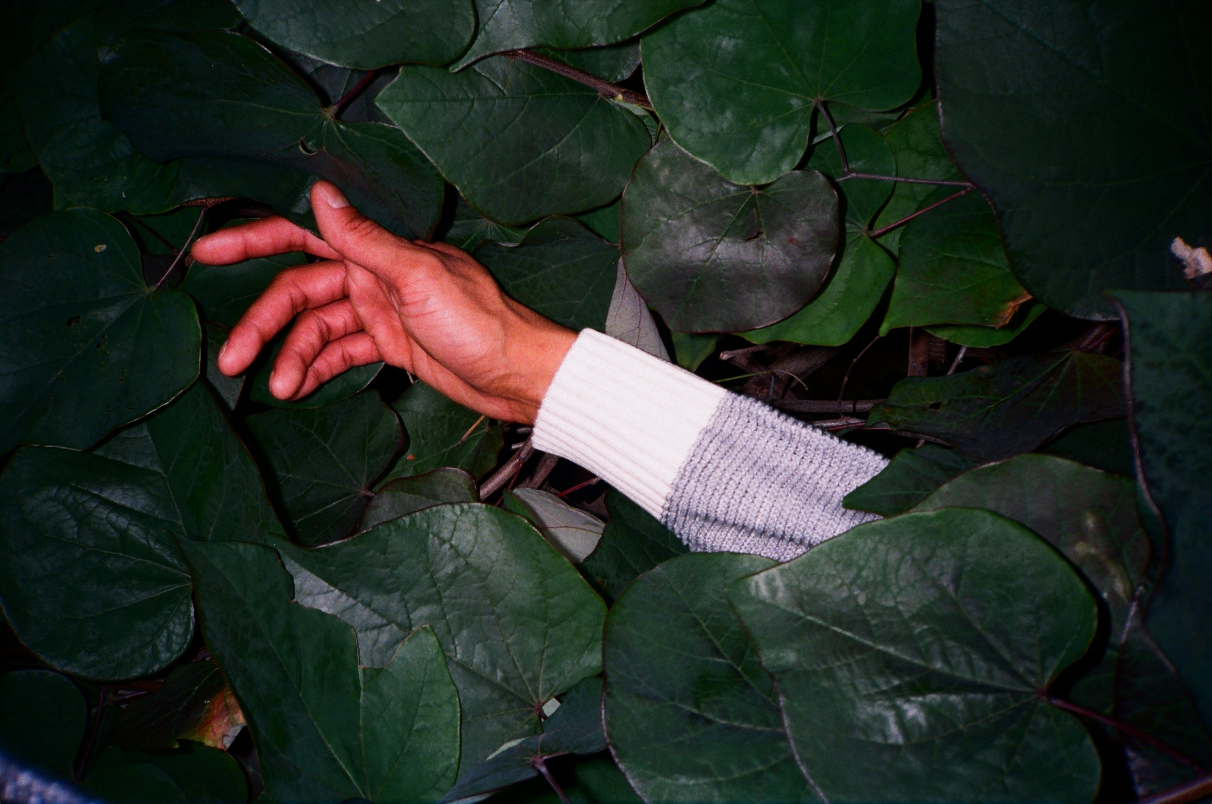 peleset sweater 3.jpg